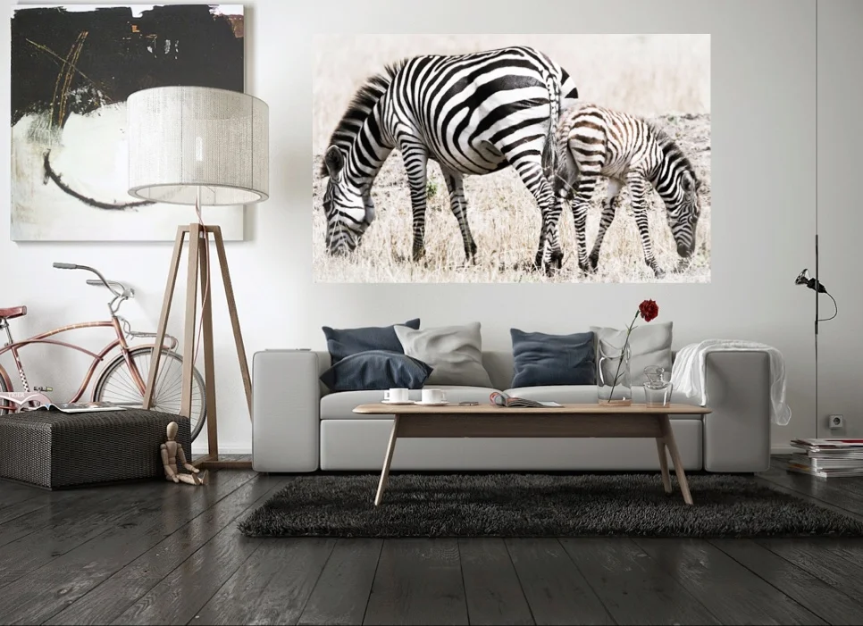 ass backwards wall.jpeg