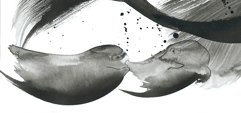 seal_suck.jpg