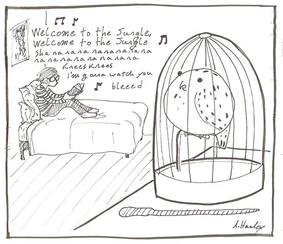 2011-01-01-welcome_to_the_jungle.jpg