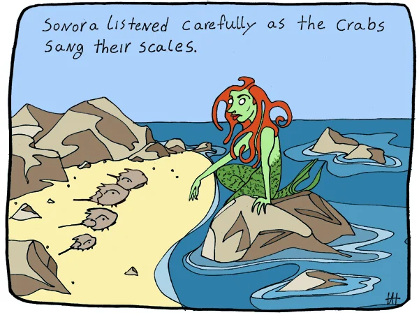 2011-10-17-crab_chorus copy.jpg