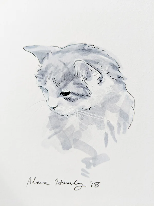 Senior Cat