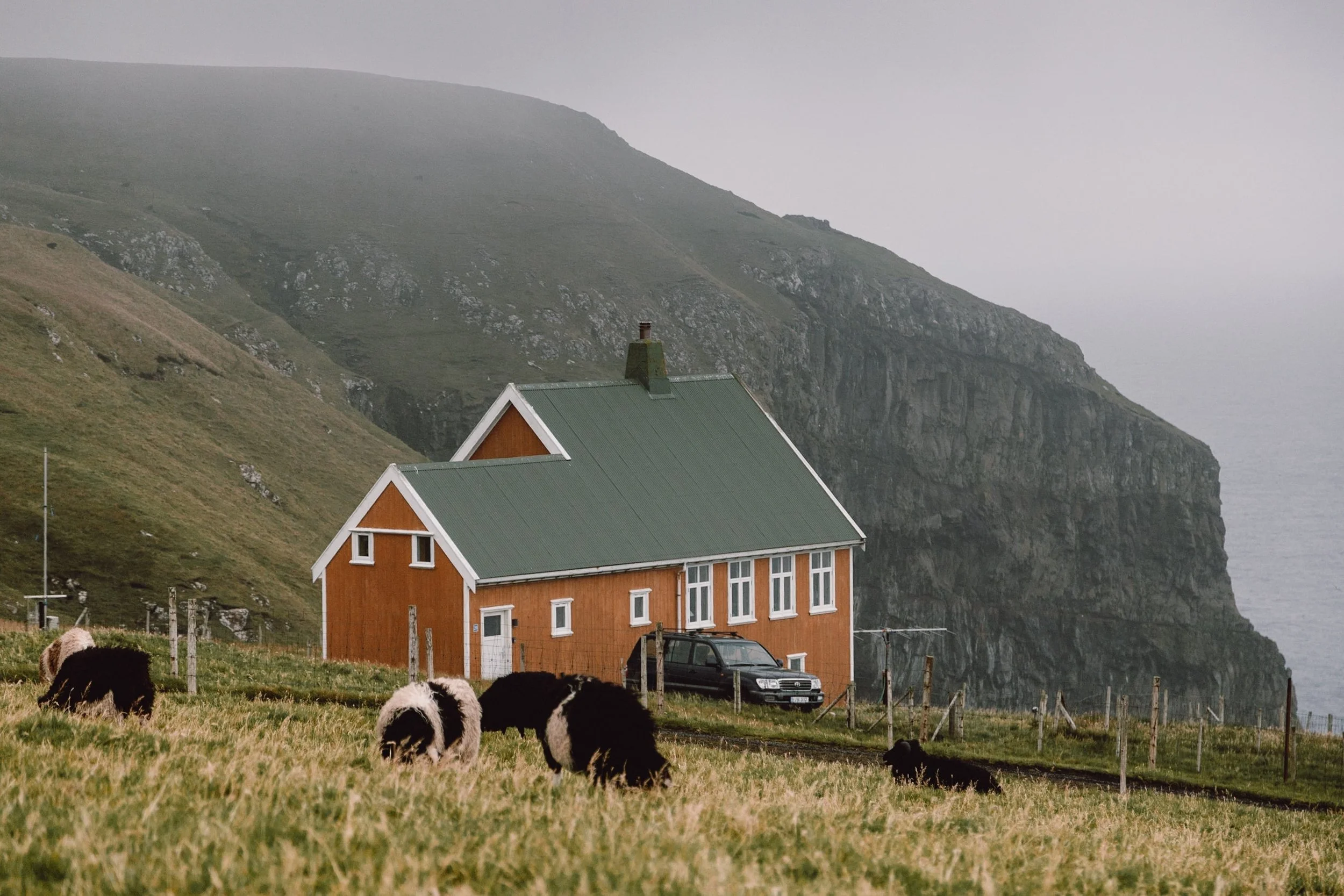 yellow house in arkeberg lighthouse suduroy with sheep infront