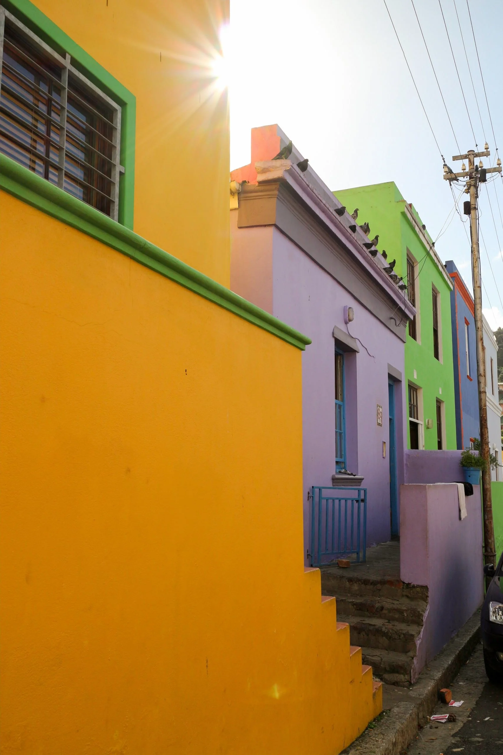 colourful homes in Bo-Kaap with sun peaking through
