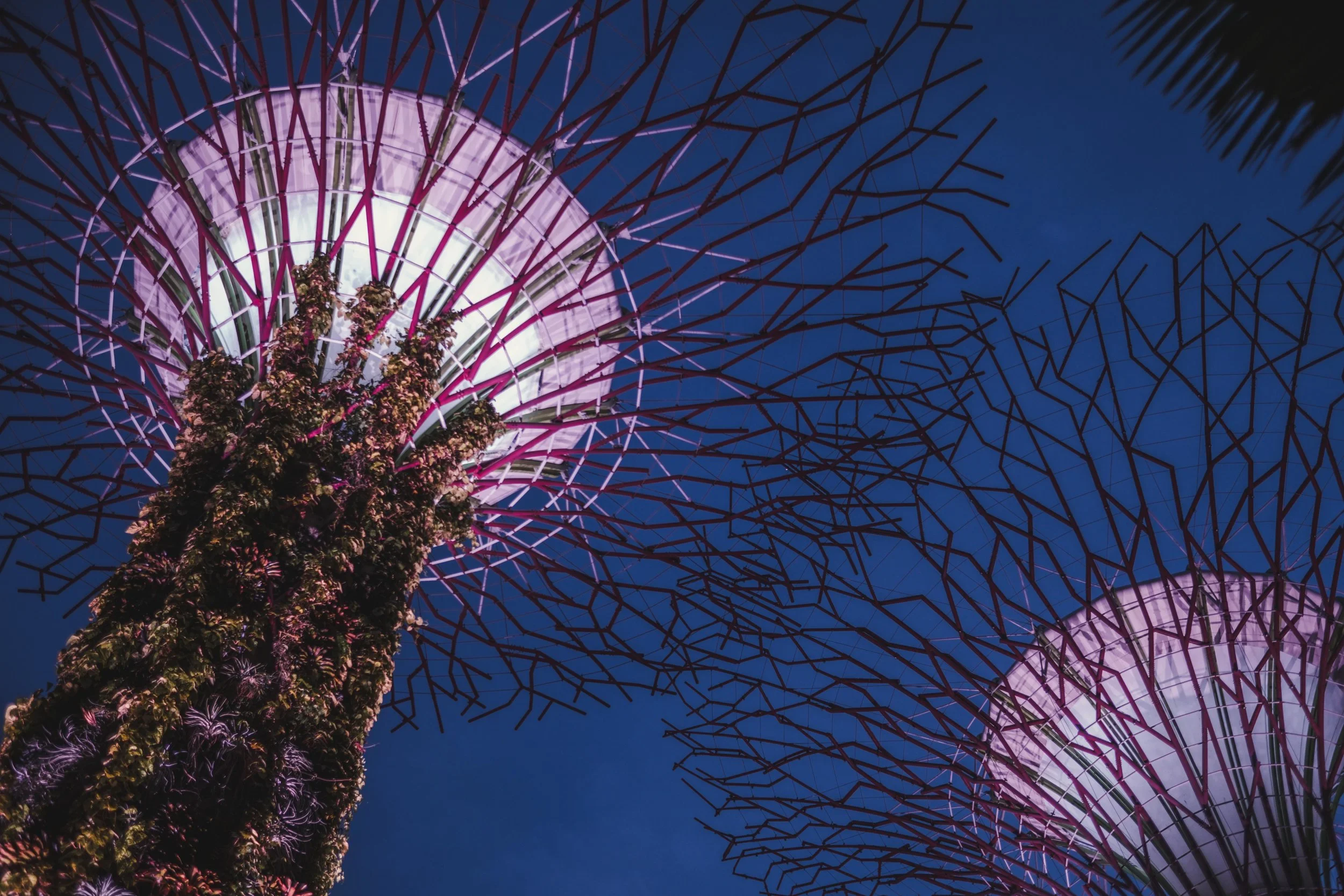 SINGAPORE-1-4.jpg