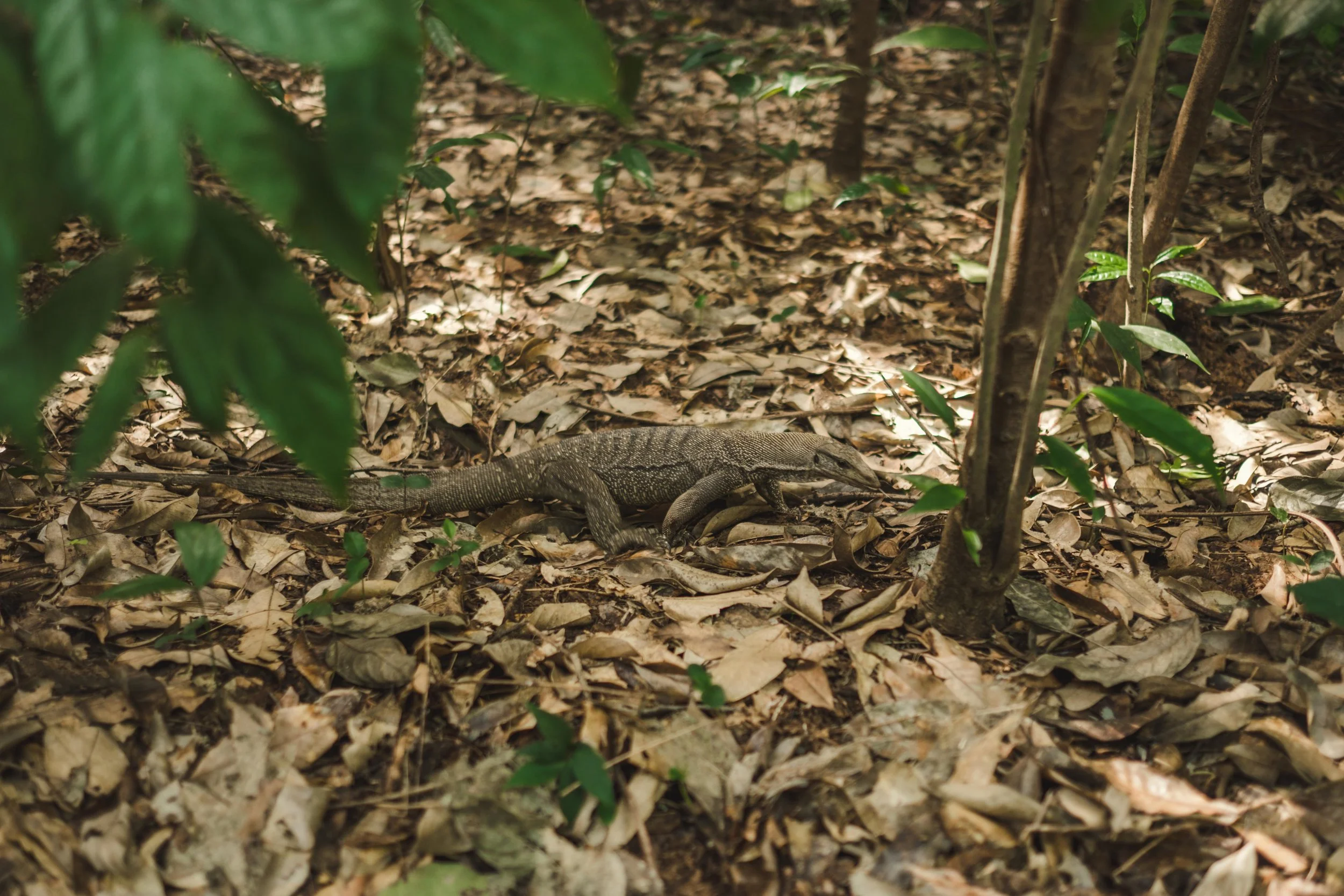 SINGAPORE-1-8.jpg
