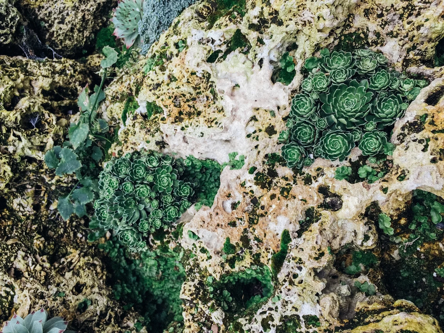 can you cycle in kew gardens