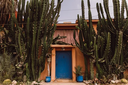 Best Things to Do in Tamraght, Morocco | Surf, Beaches, Cafs & Day Trips   Finding Our Adventure