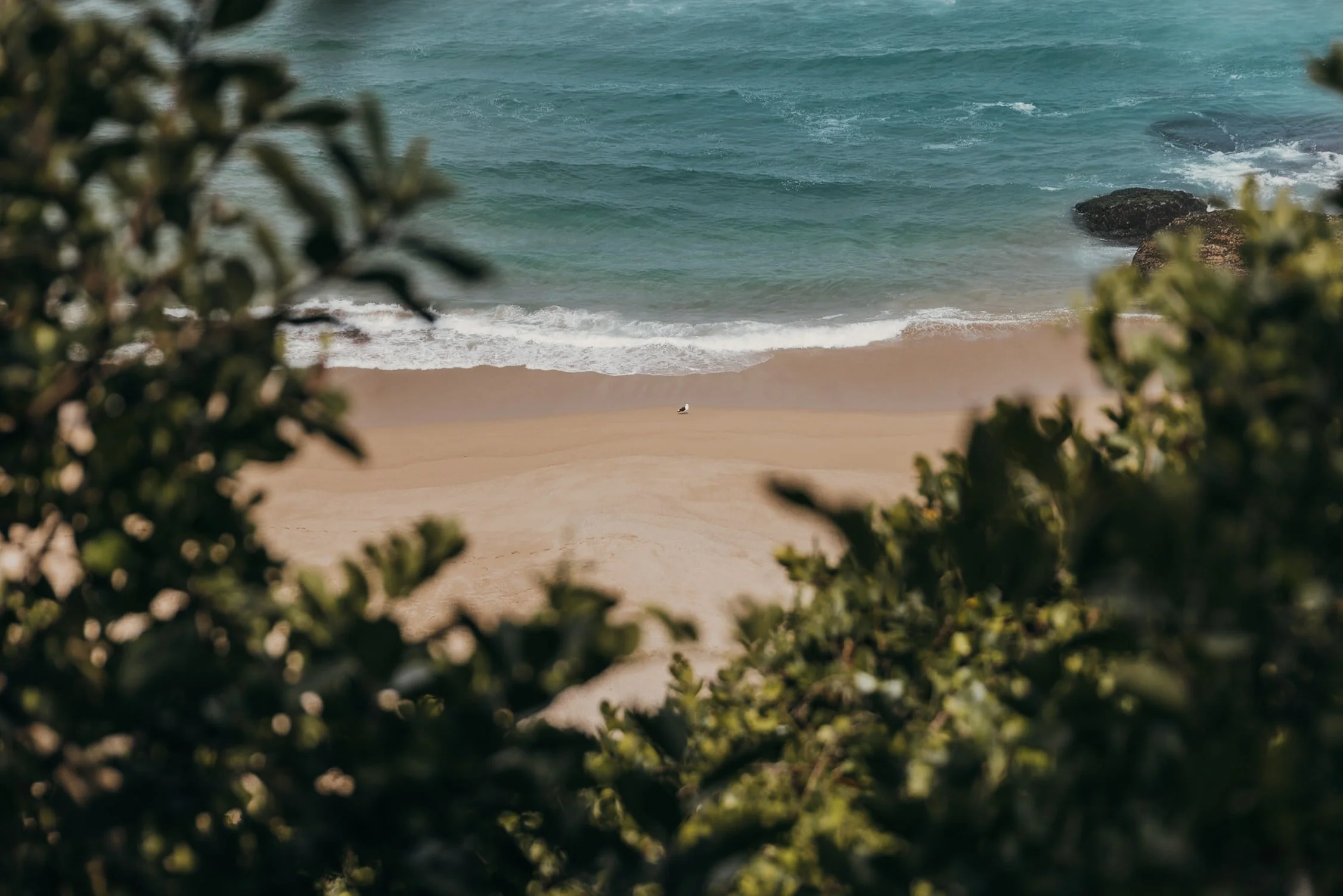 7-Day Garden Route Itinerary | Complete Driving Guide and Road Trip Map