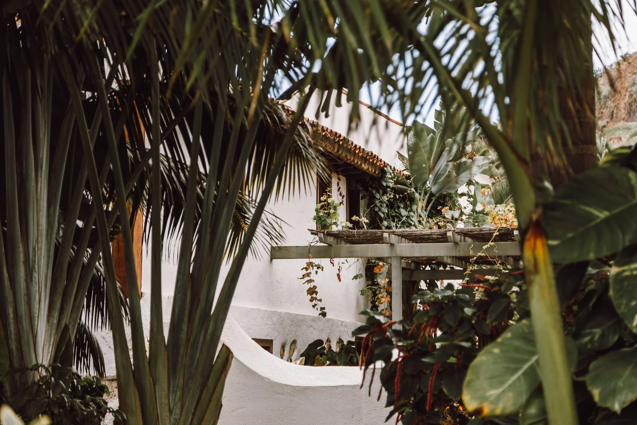 Tenerife in January | Weather, Best Places to Stay and Top Things To Do
