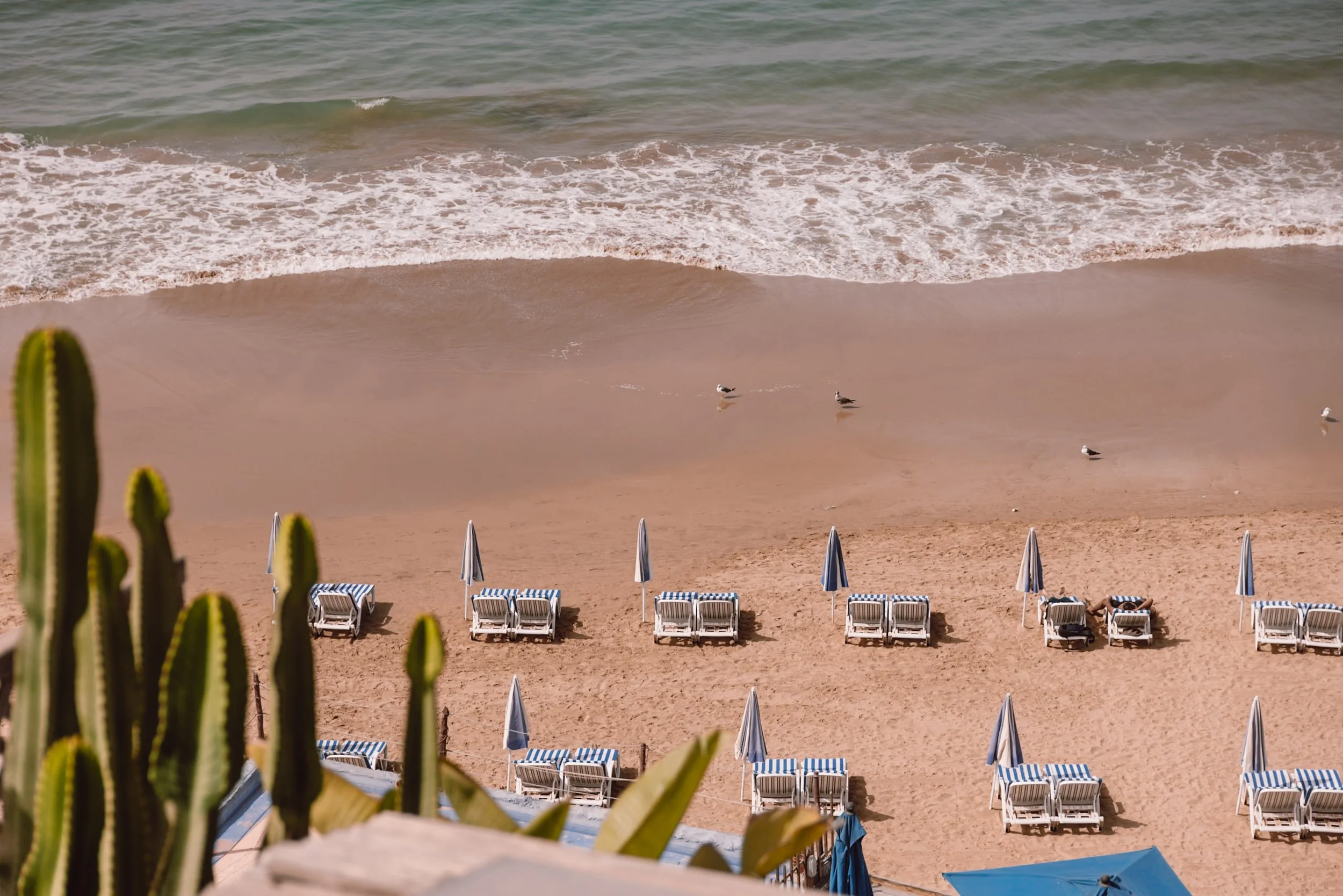 Morocco in February | Winter Sun, Surf, Desert Adventures &amp; Where to Stay