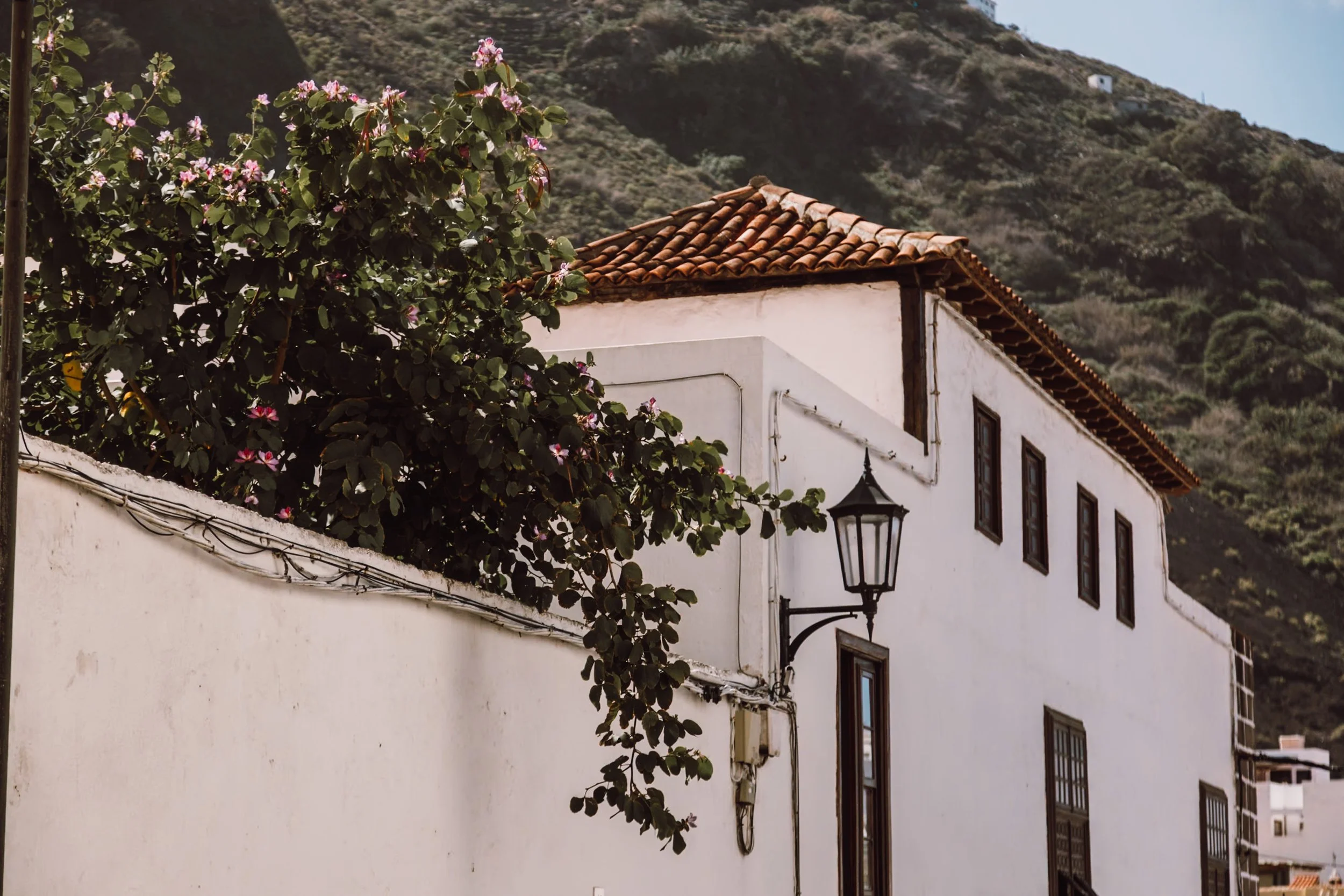 What to Know Before Visiting Tenerife in April | Weather, Where to Stay and Tips