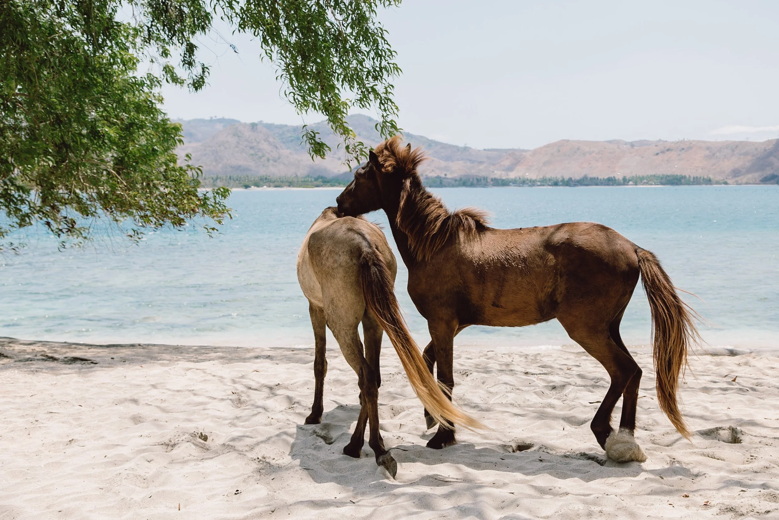 What’s in My Camera Bag 2026 | Travel &amp; Photography Gear Essentials