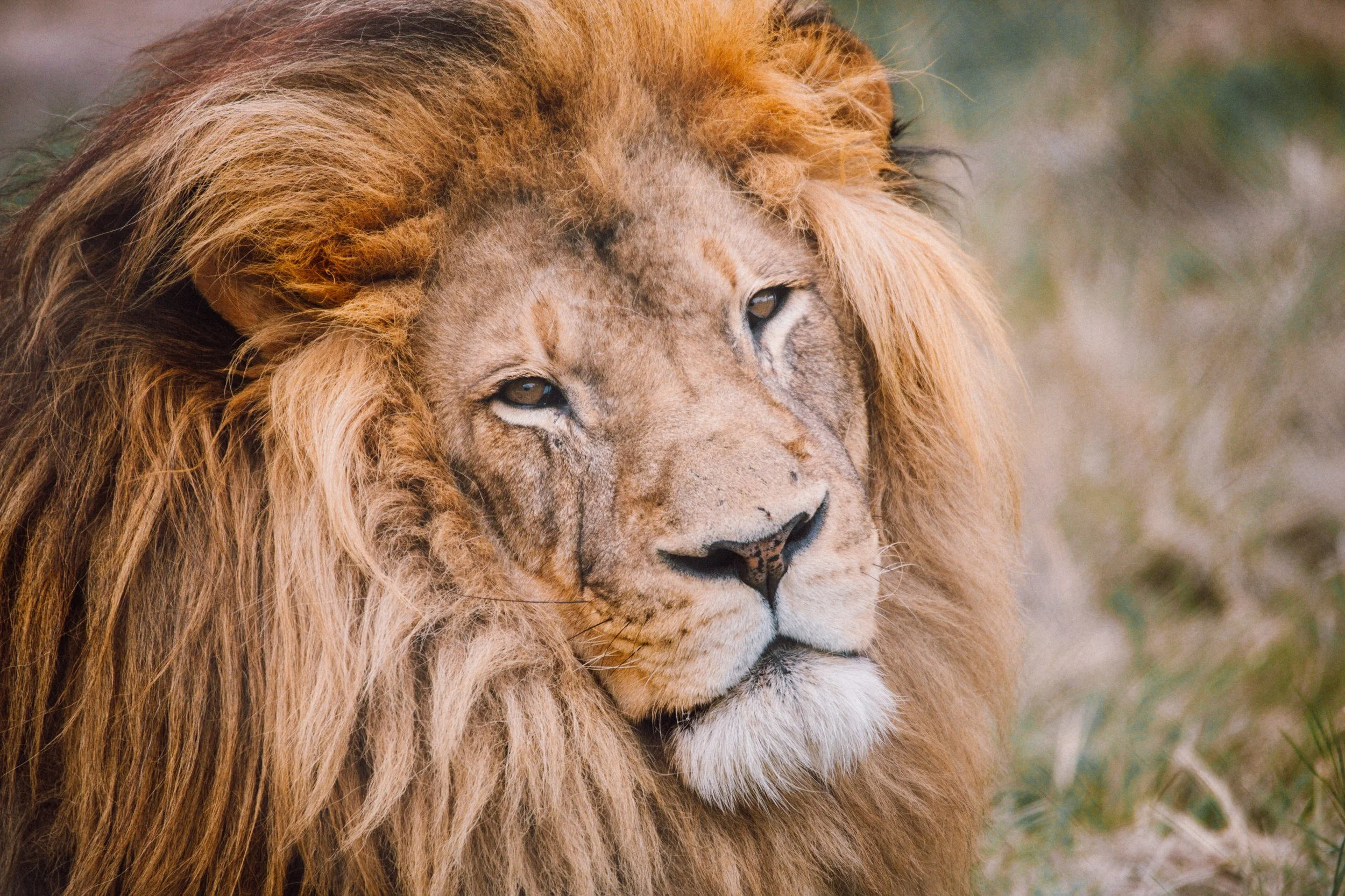 Best Places to Visit in South Africa for First-Time Visitors