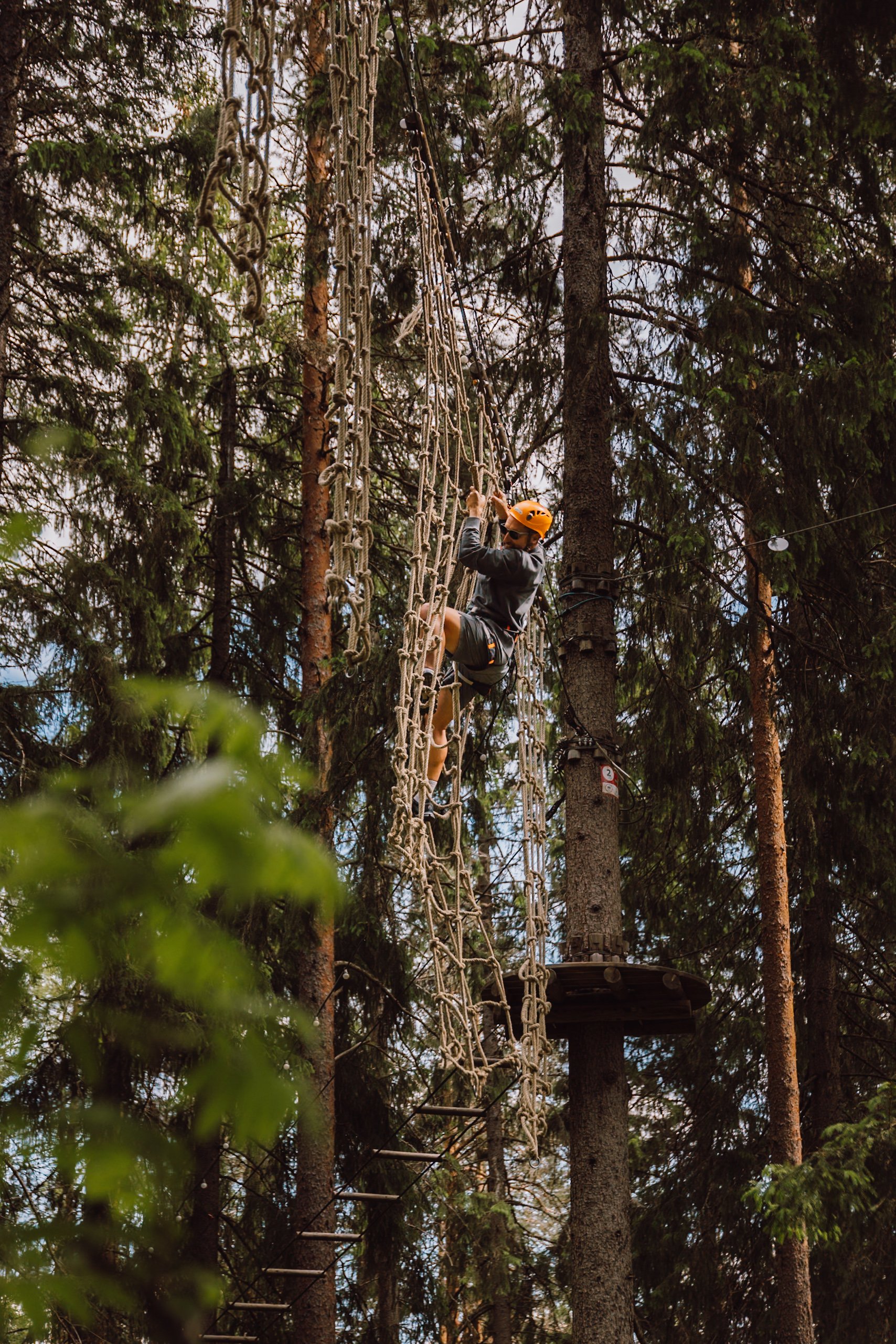 man wearing climbing gear climbing across rope in pine forest