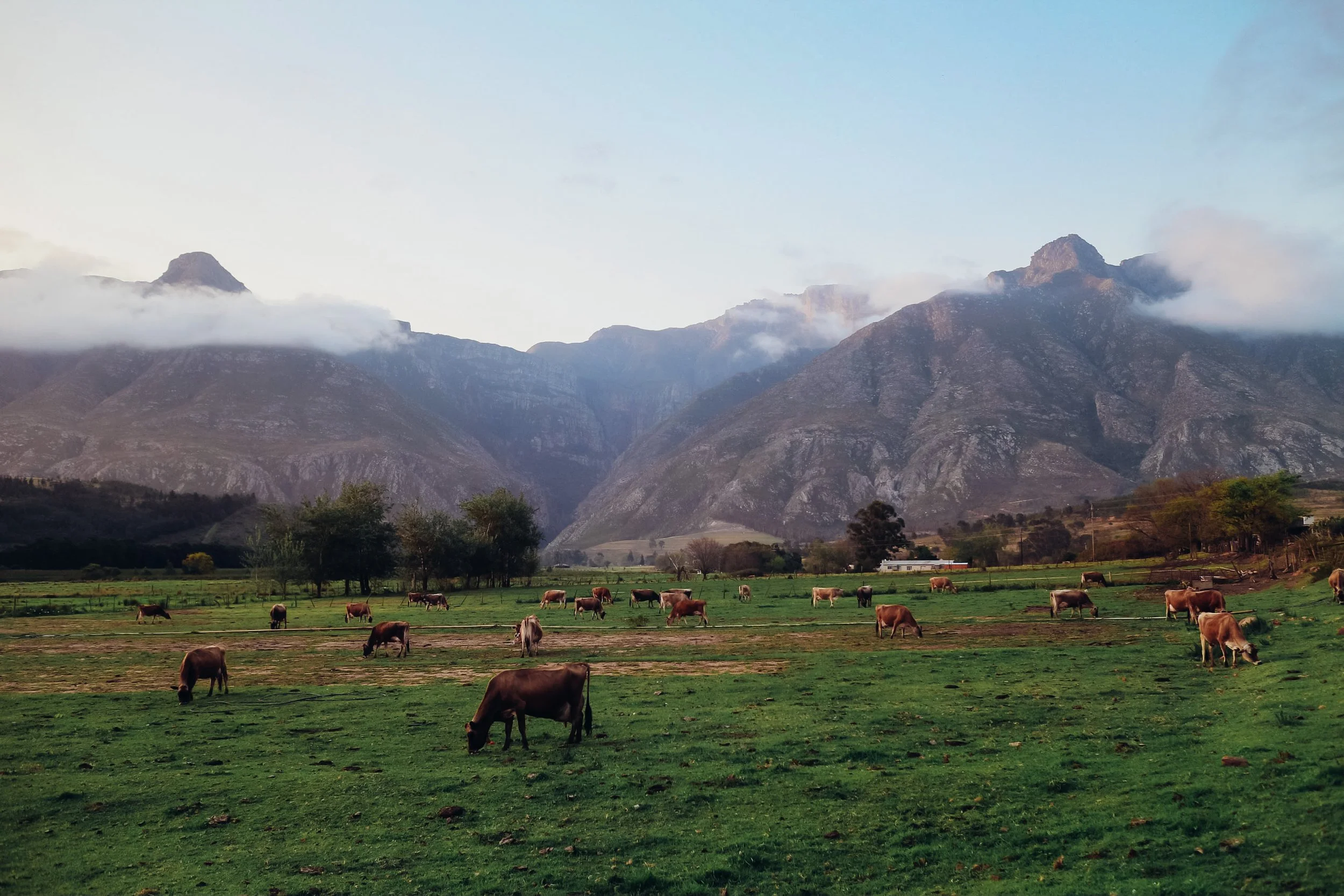 swellendam south africa