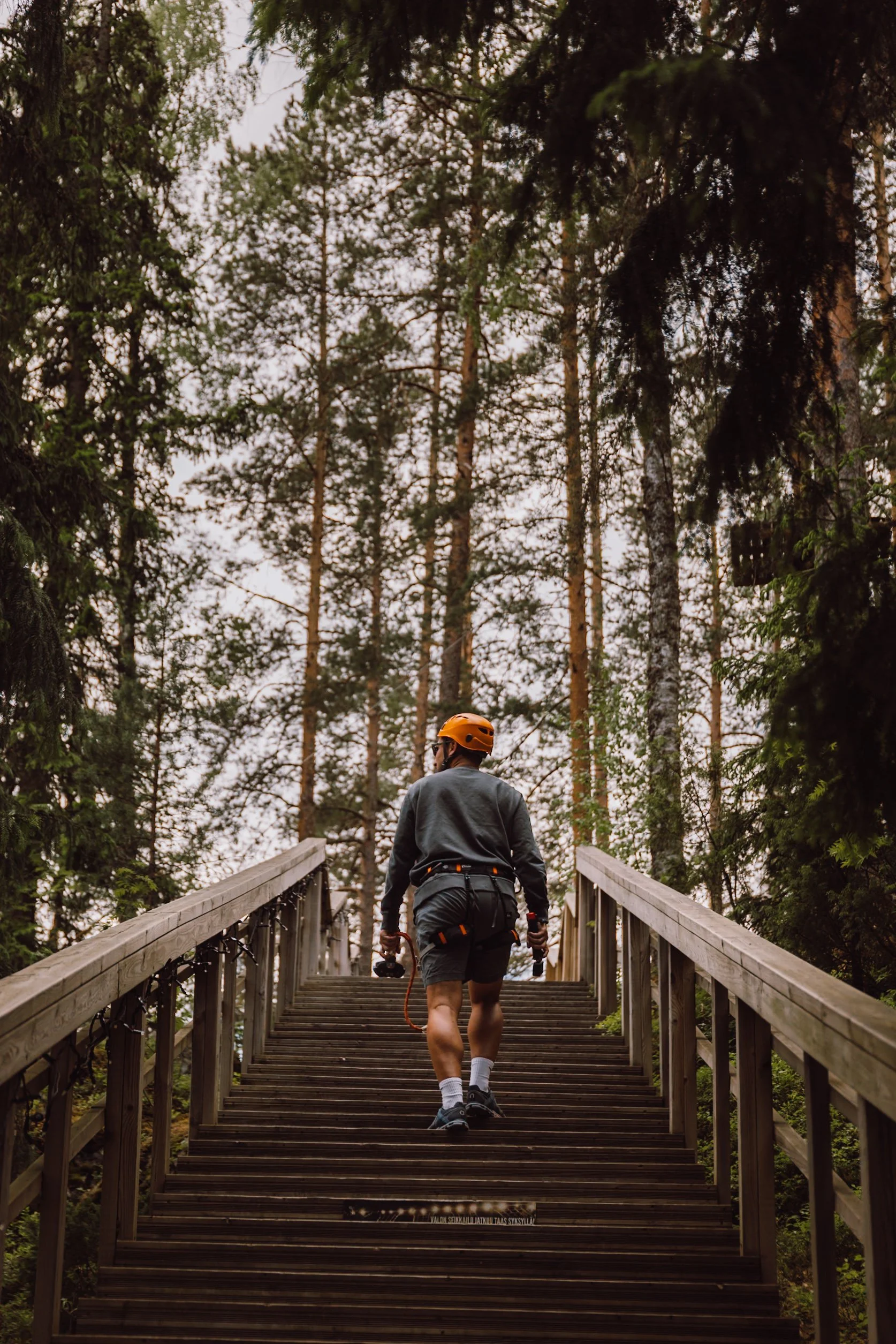 man walking up steps into pine forest wearing climbing gear