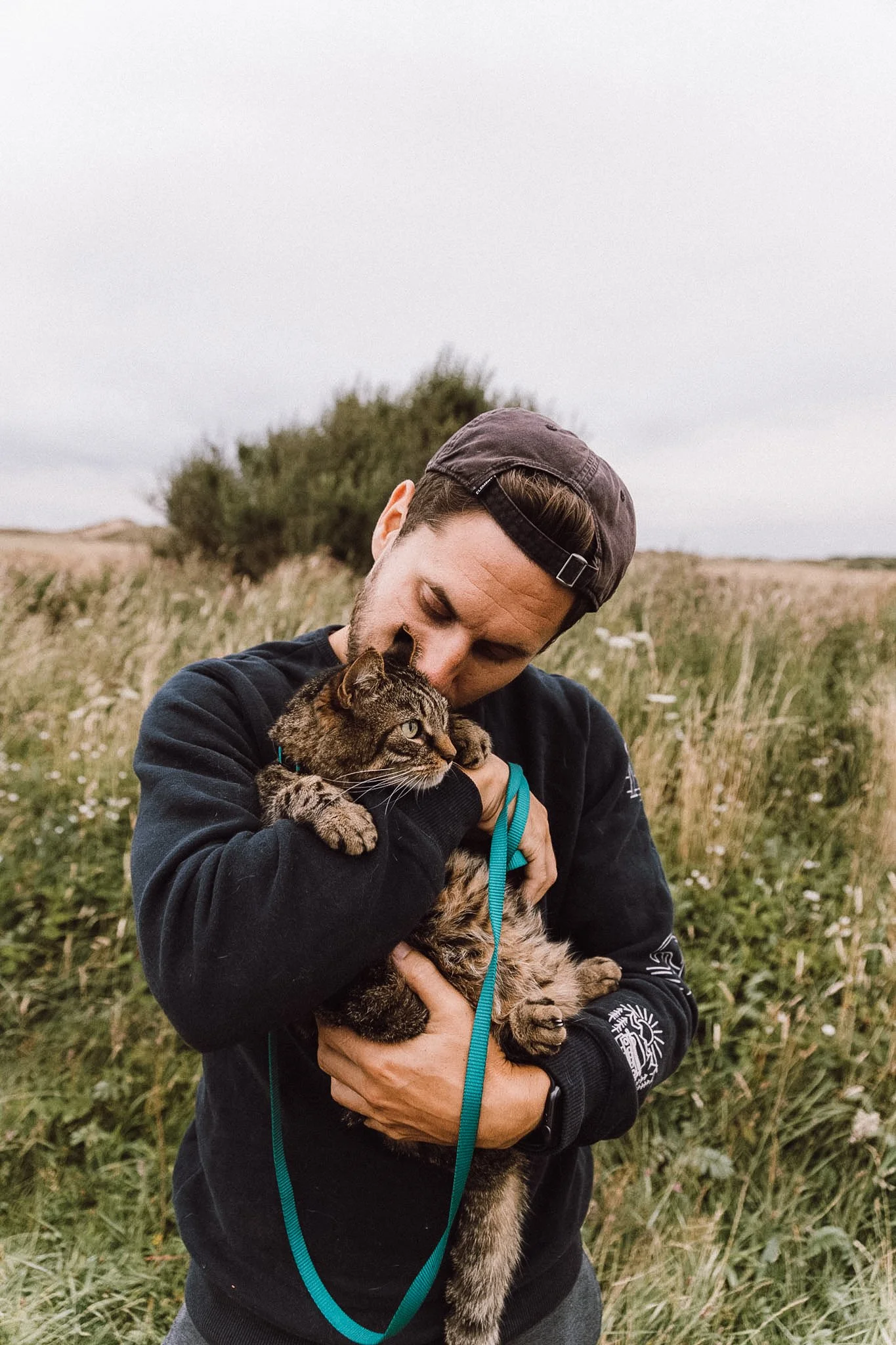 How to Travel with your Cat in a Campervan Vanlife with a Cat