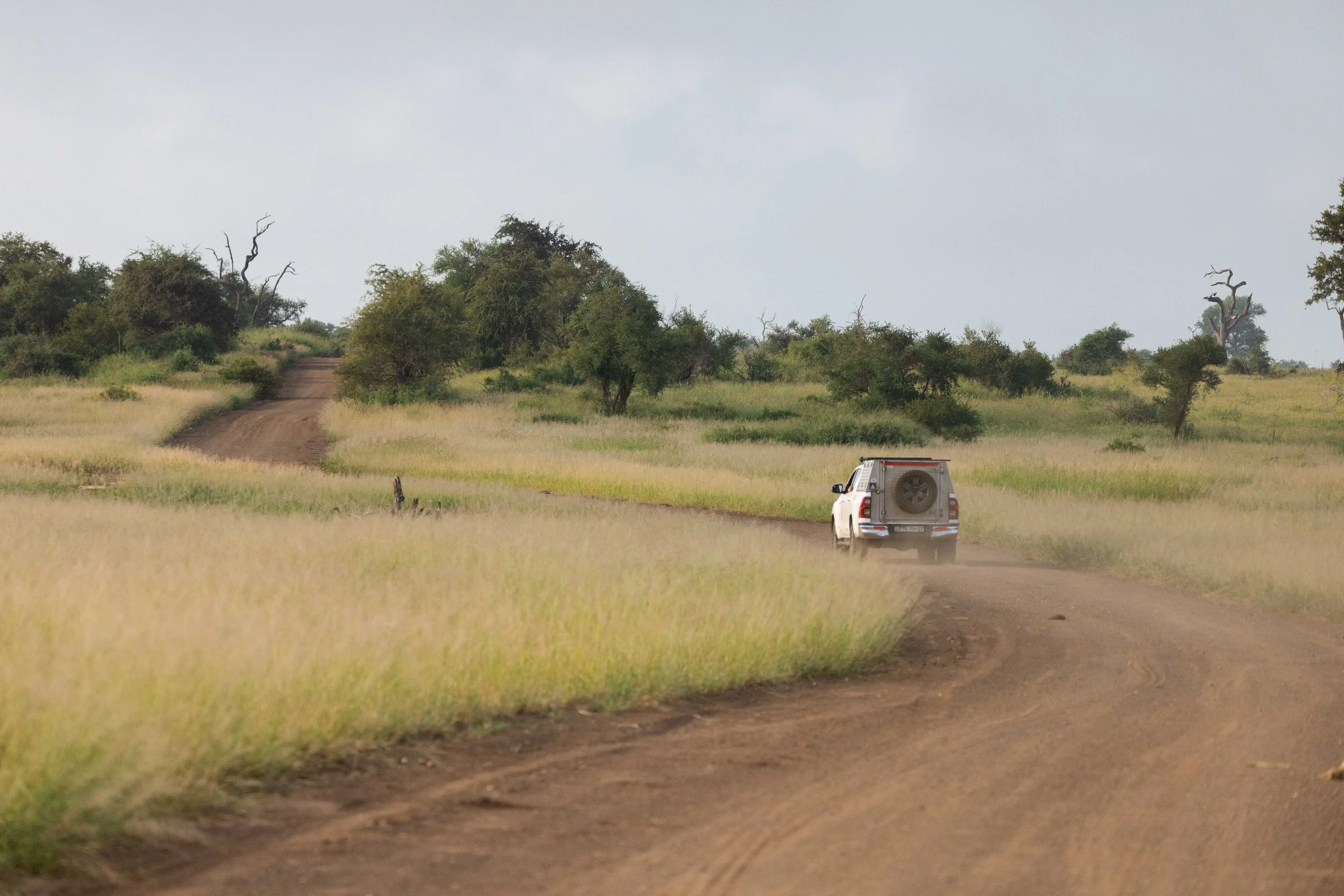 4x4 car driving on dirt track in Kruger