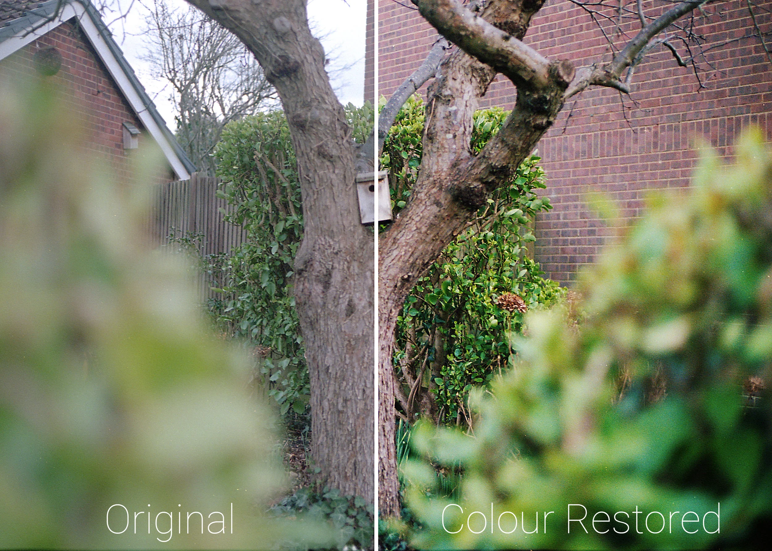 FreshCrewStudios-Film-Colour-Correction.jpg