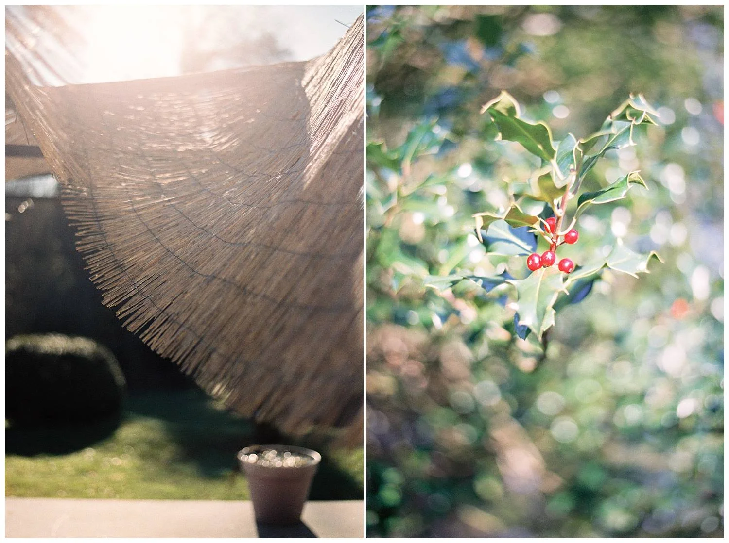 Sunny day while Christmas season