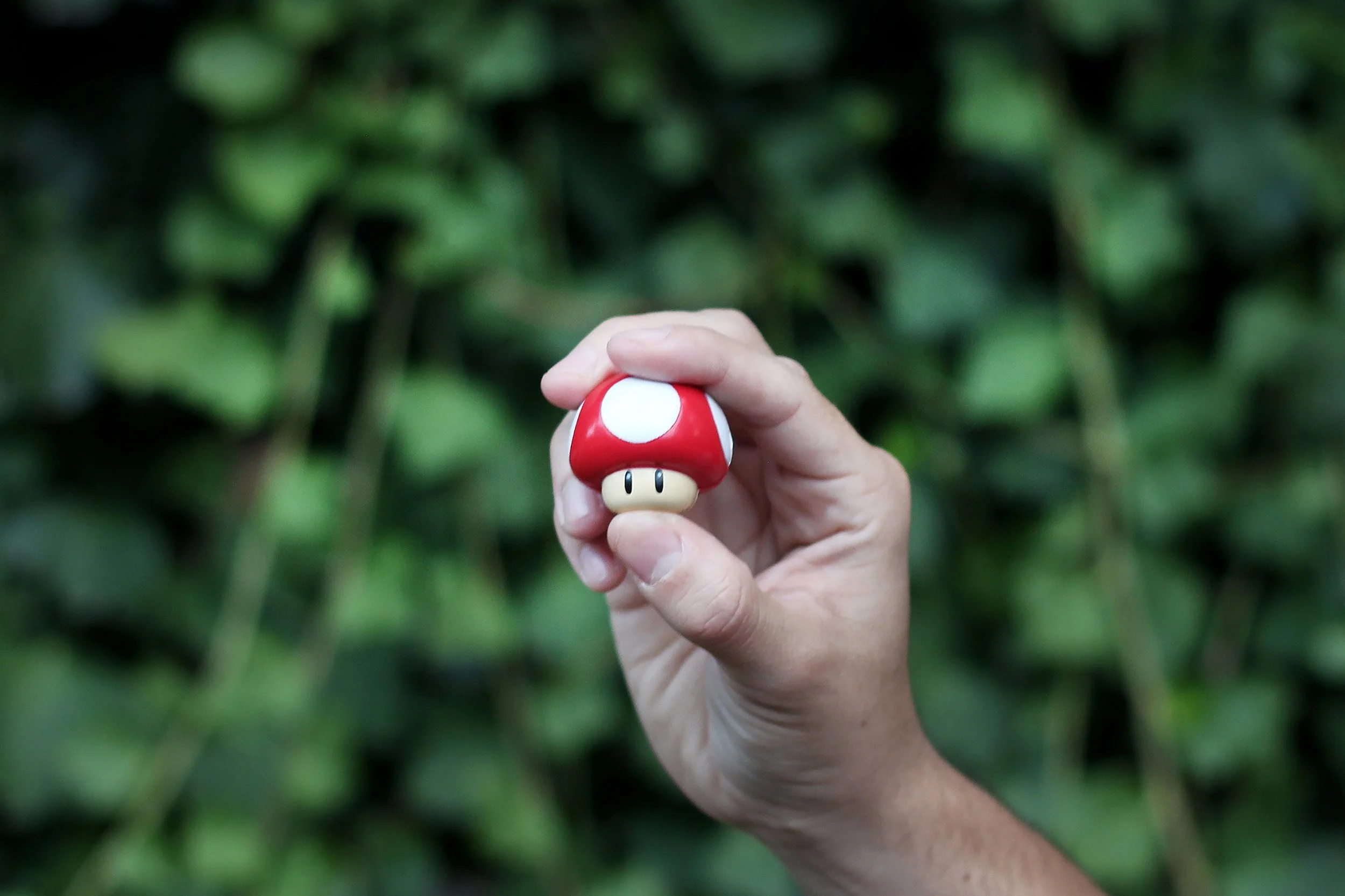 Super Mushrooms? Photo by Geeky Shots on Unsplash