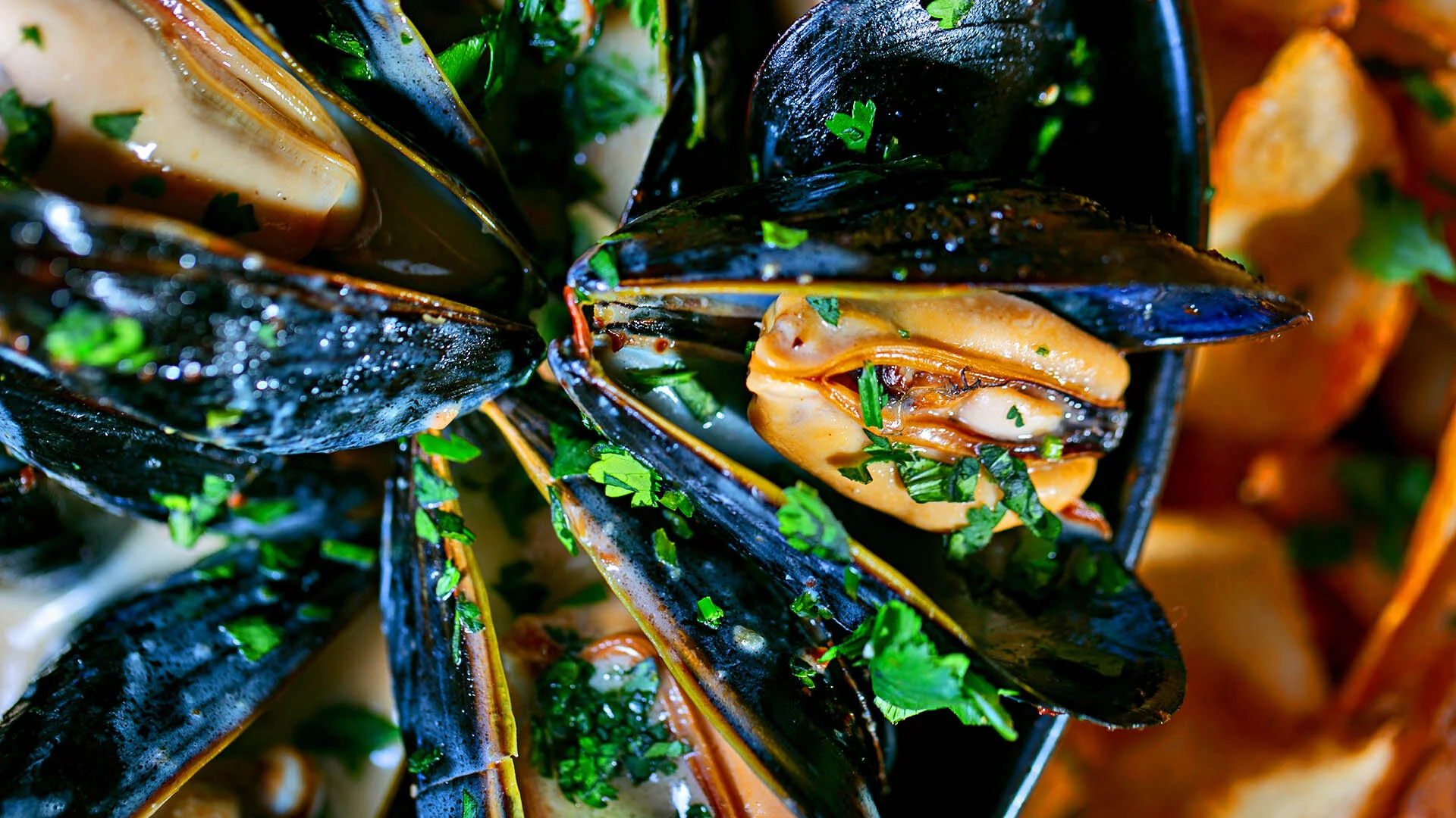 001-alex-paolella copy.jpg