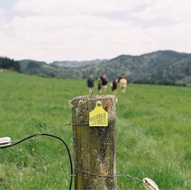 The track to Dundle is clearly marked with these lovely yellow markers designed by the best @vacationstudio 🌿