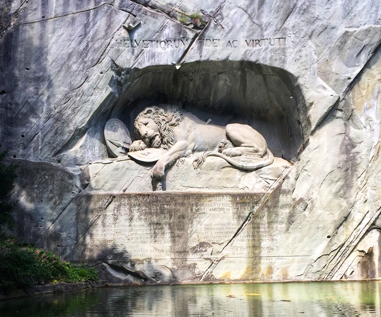 The wounded lion. 