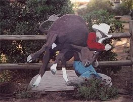 lifesizecutout_cowboy_california.jpg