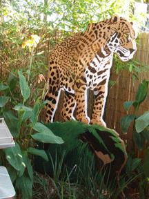 lifesizecutout_jagsdiner_valleycenter5.gif