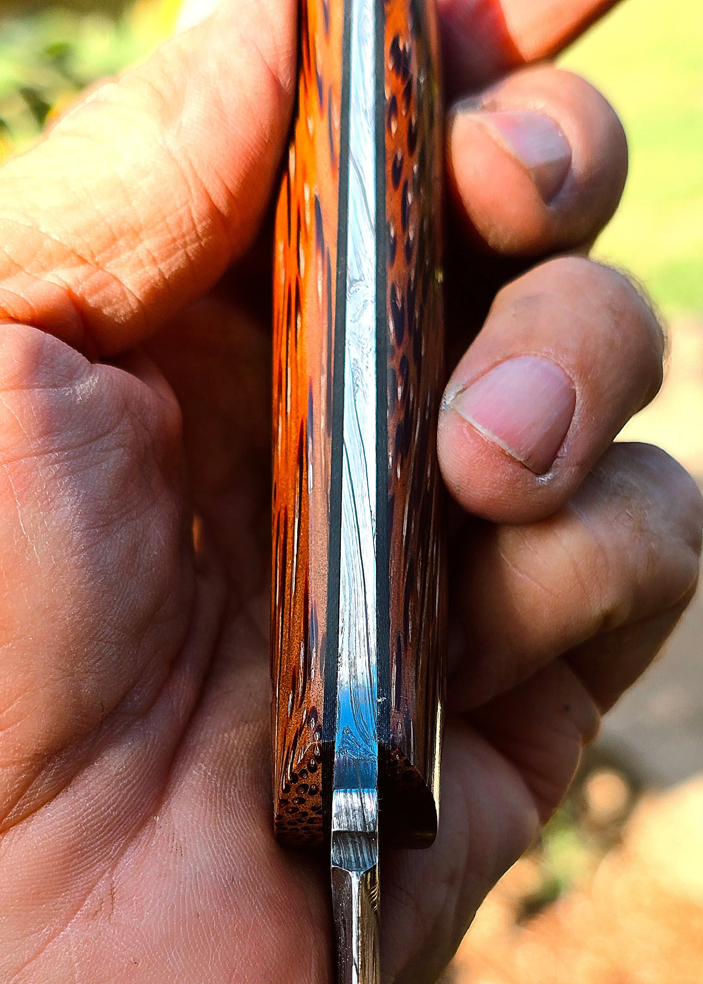 1000019524.jpg