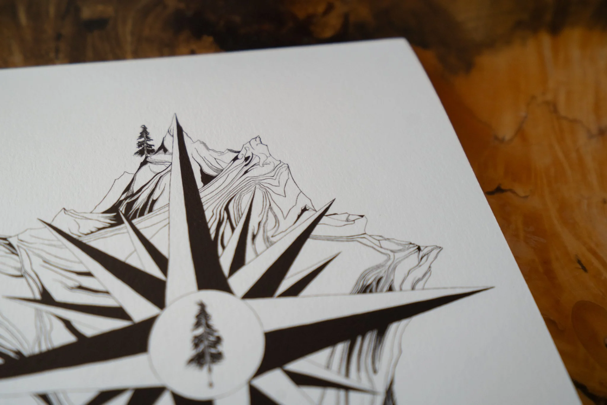 artist compass drawing