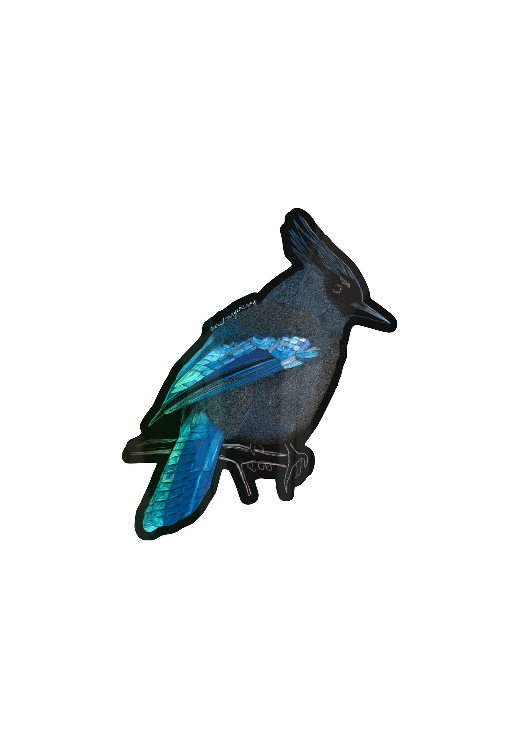 steller's jay weston ayers art holographic sticker.jpg