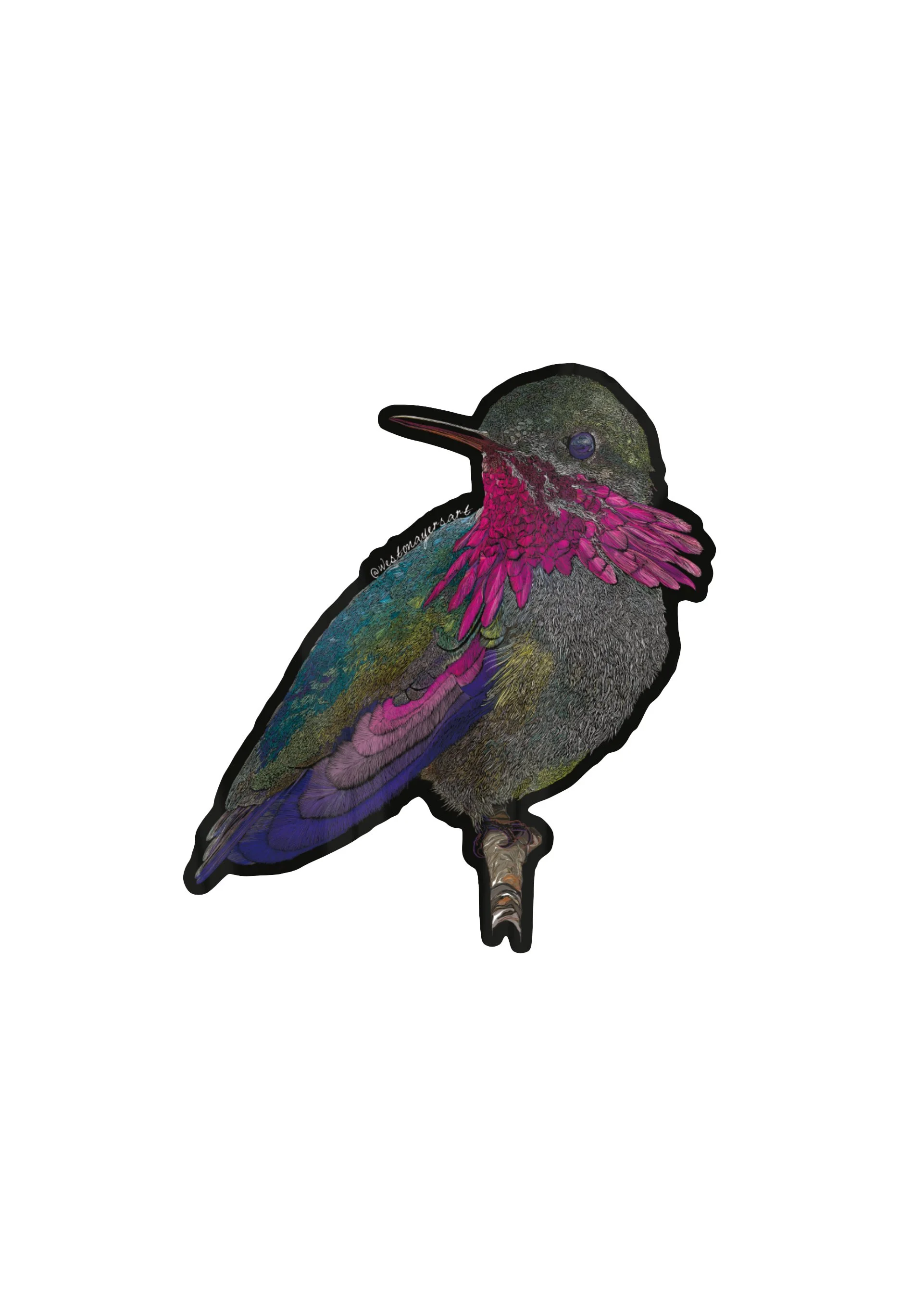 Calliope Hummingbird Holographic Sticker