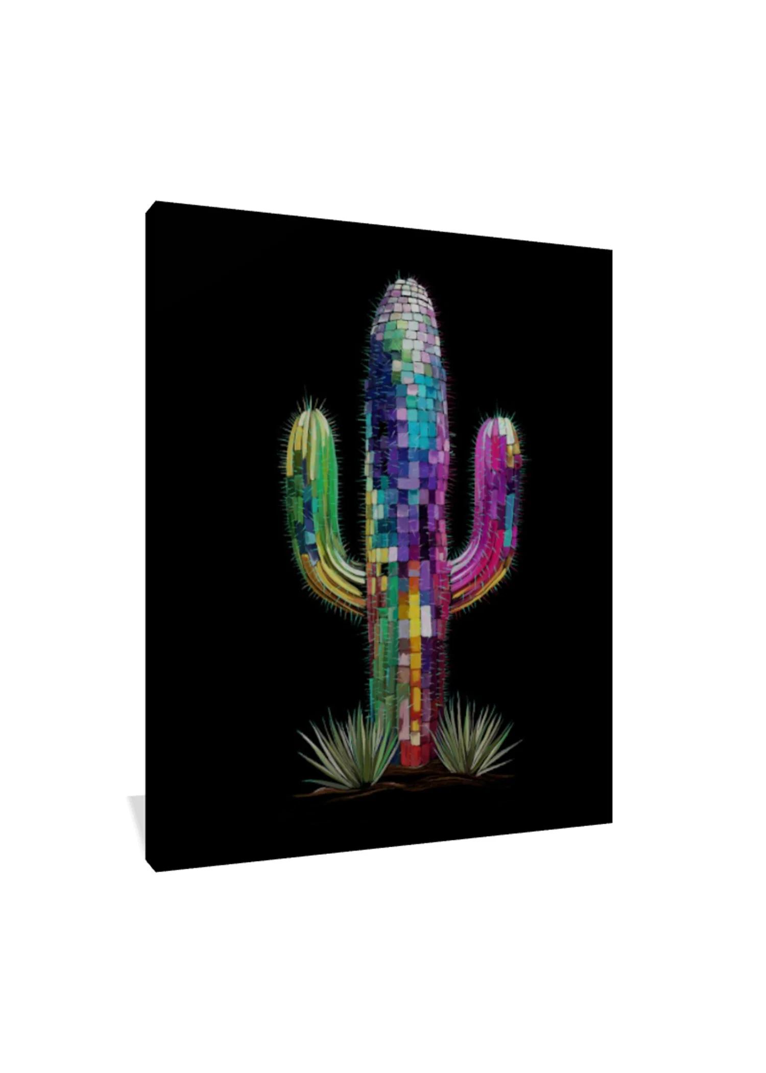 Desert-Disco-Dreams-16x20-Canvas.jpg