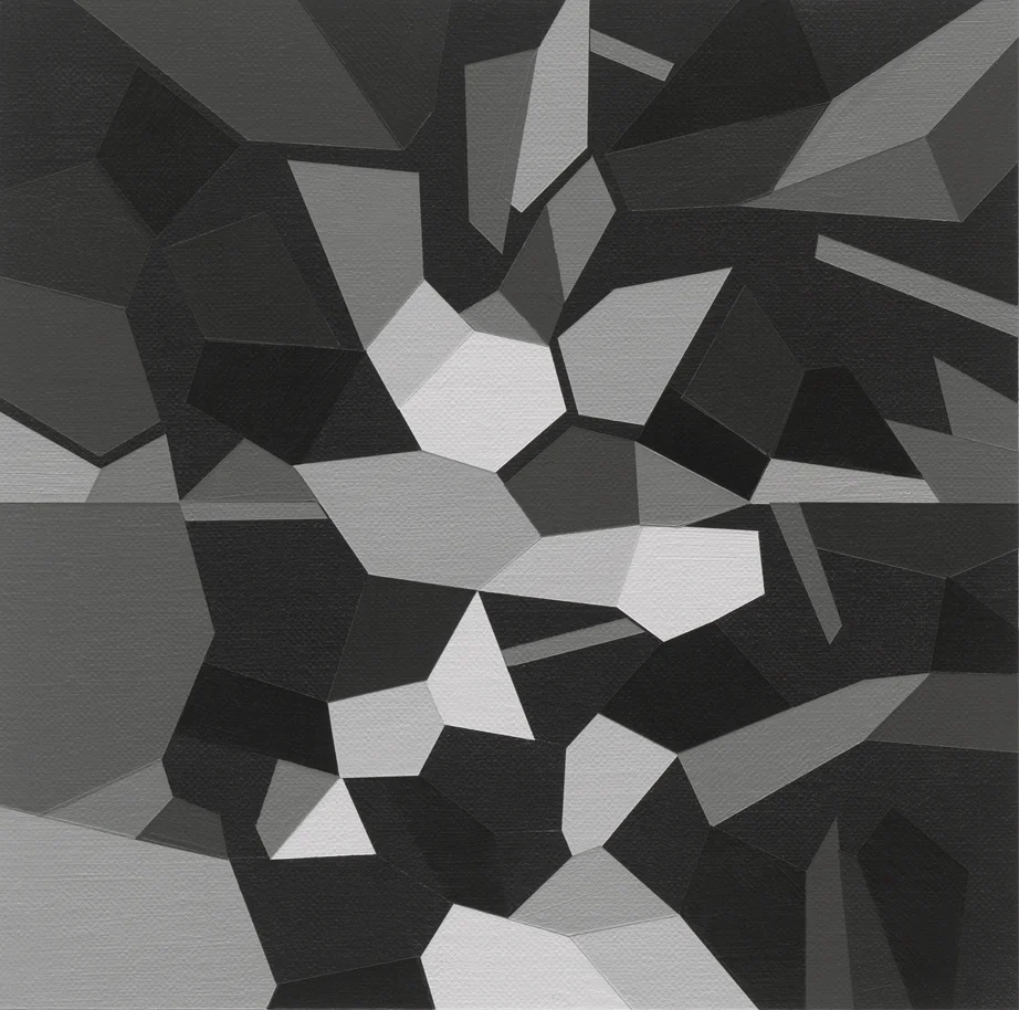 Imperceptible Affinities Series 6