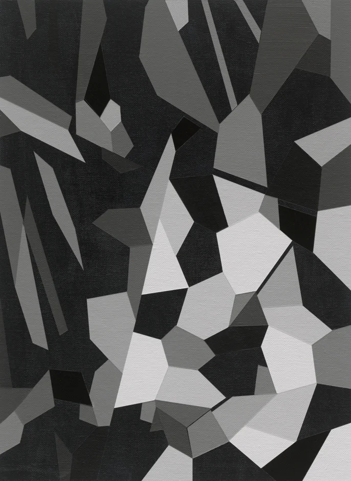 Imperceptible Affinities Series 21