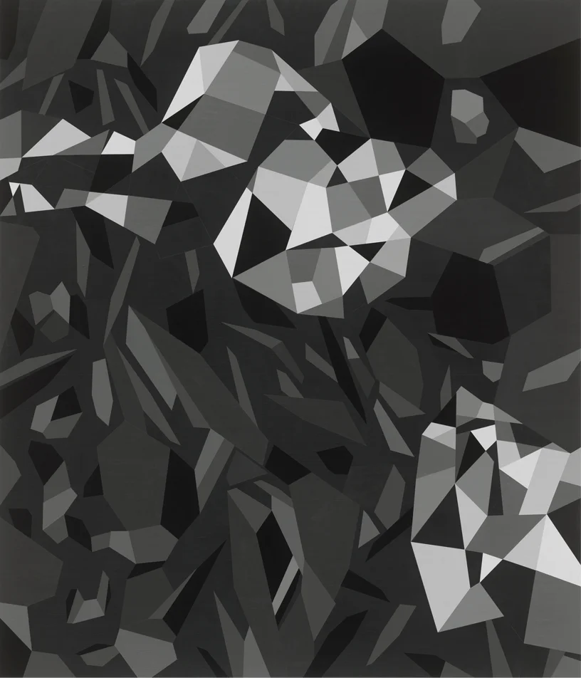 Imperceptible Affinities Series 31