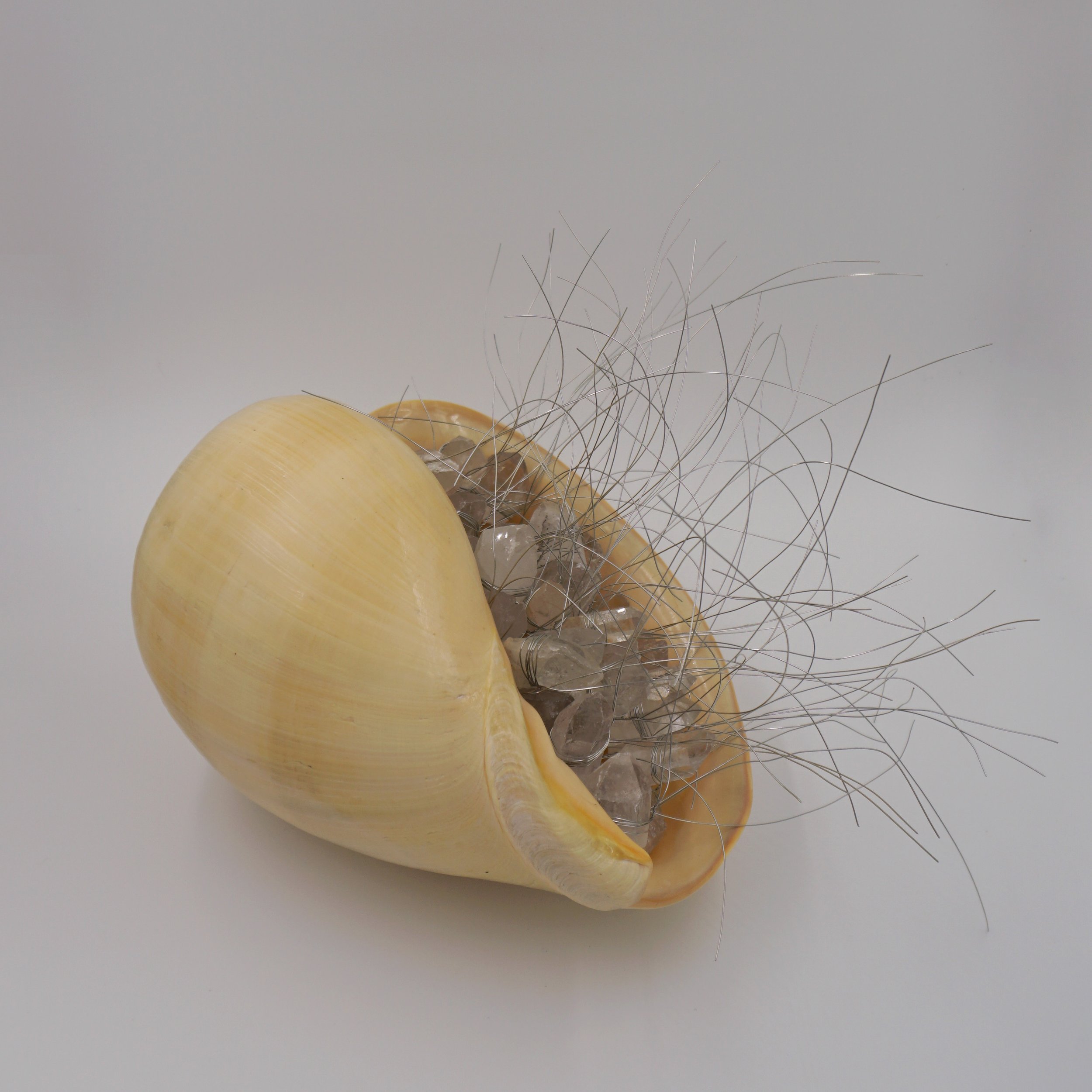  Eigenfrequency, 2024  Seashells, quartz, wire  Sculpture   12.5” x 13.5” x 12”  