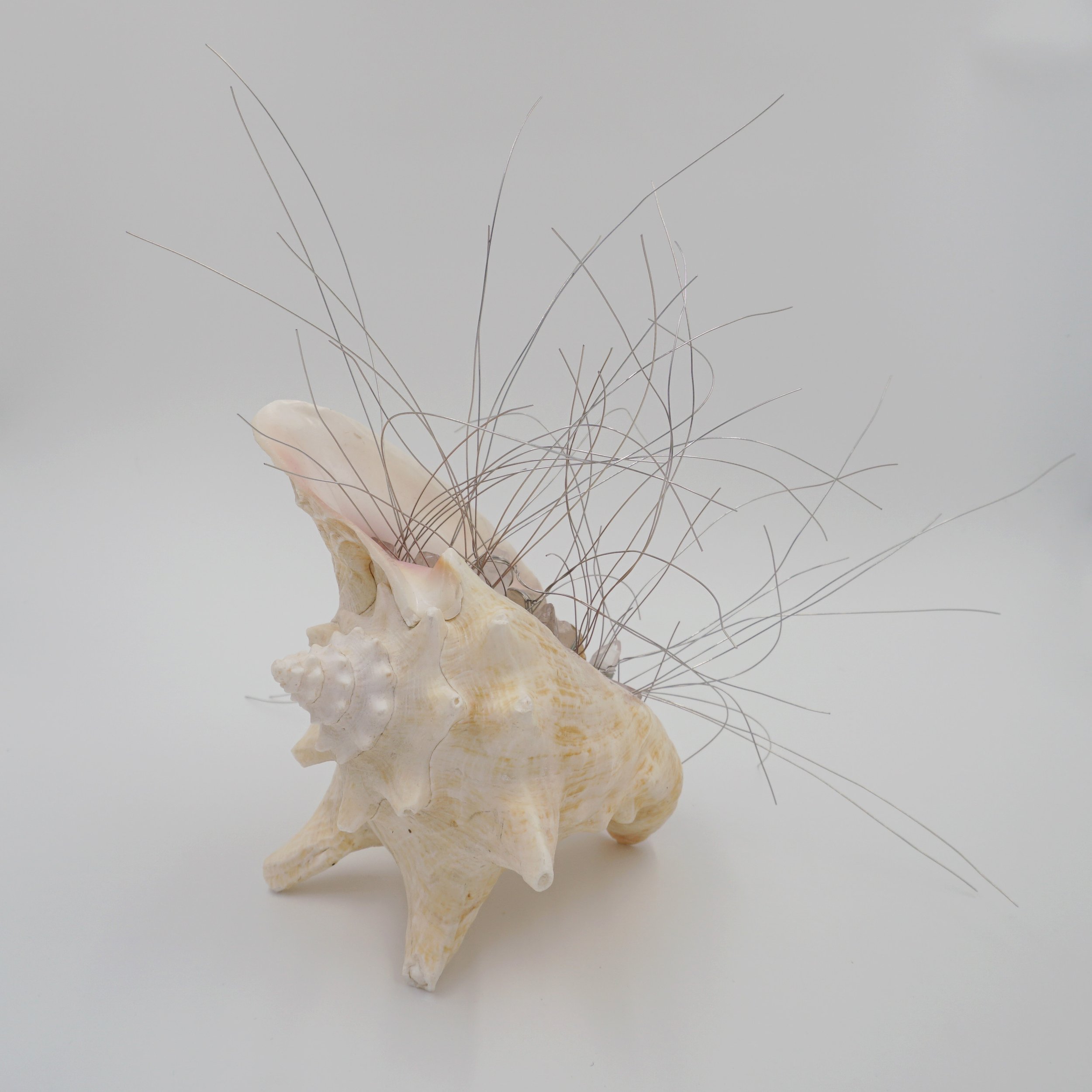  Eigenfrequency, 2024  Seashells, quartz, wire  Sculpture   18” x 13.5” x 8”  
