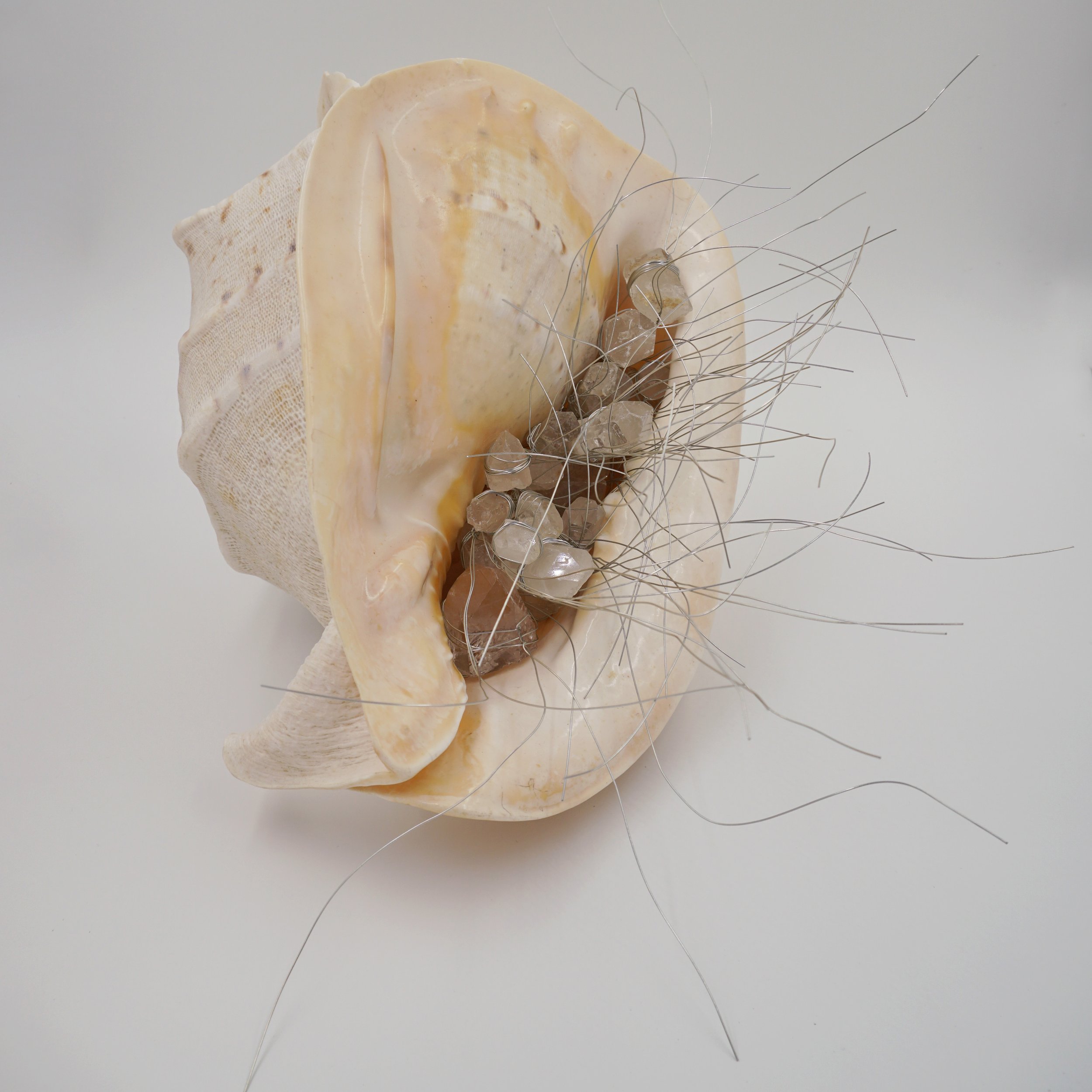  Eigenfrequency, 2024  Seashells, quartz, wire  Sculpture   14.5” x 13.5” x 10”  