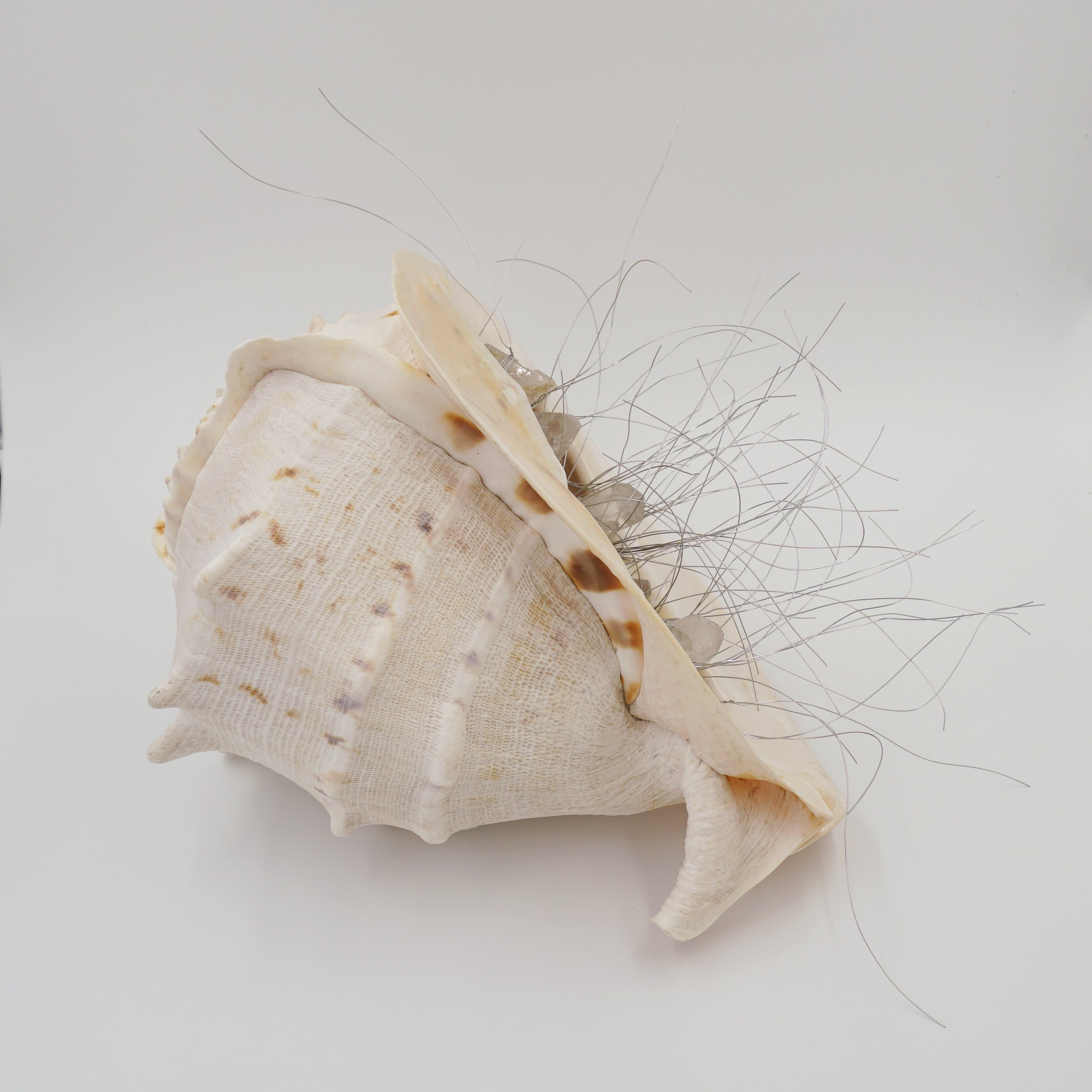  Eigenfrequency, 2024  Seashells, quartz, wire  Sculpture   14.5” x 13.5” x 10”  