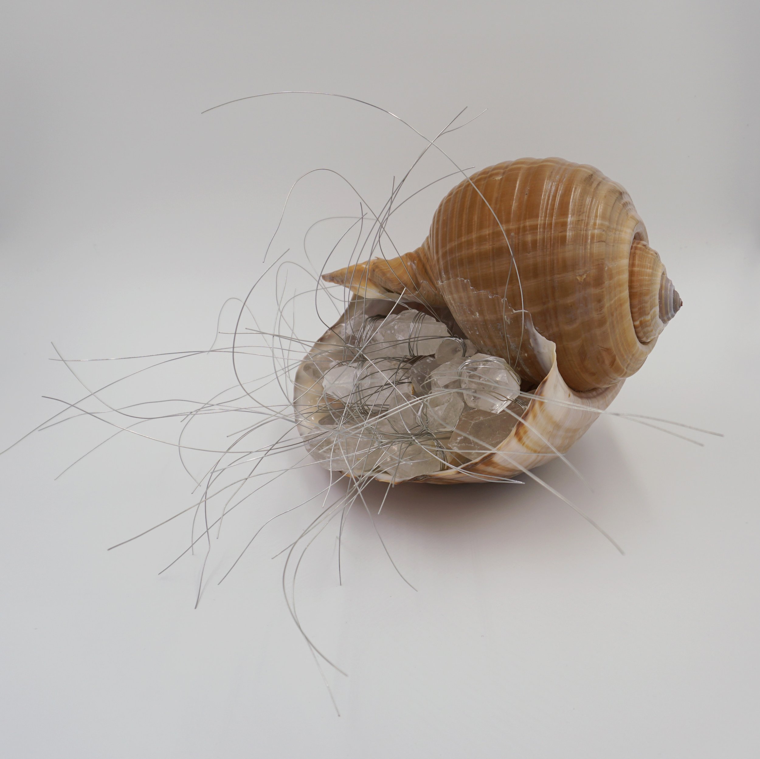  Eigenfrequency, 2024  Seashells, quartz, wire  Sculpture   13” x 13.5” x 10”  