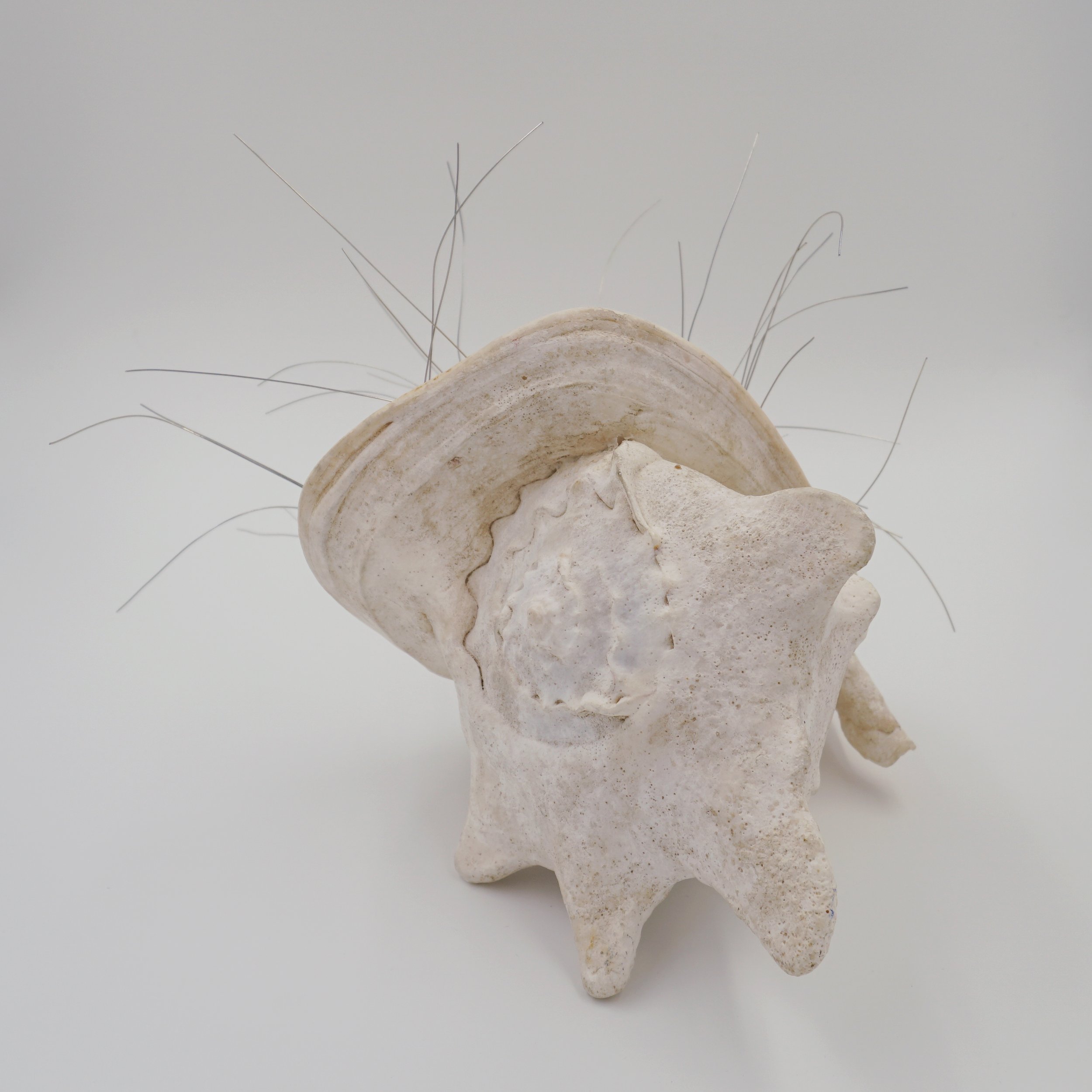 Eigenfrequency, 2024  Seashells, quartz, wire  Sculpture   14.5” x 16.5” x 8”  