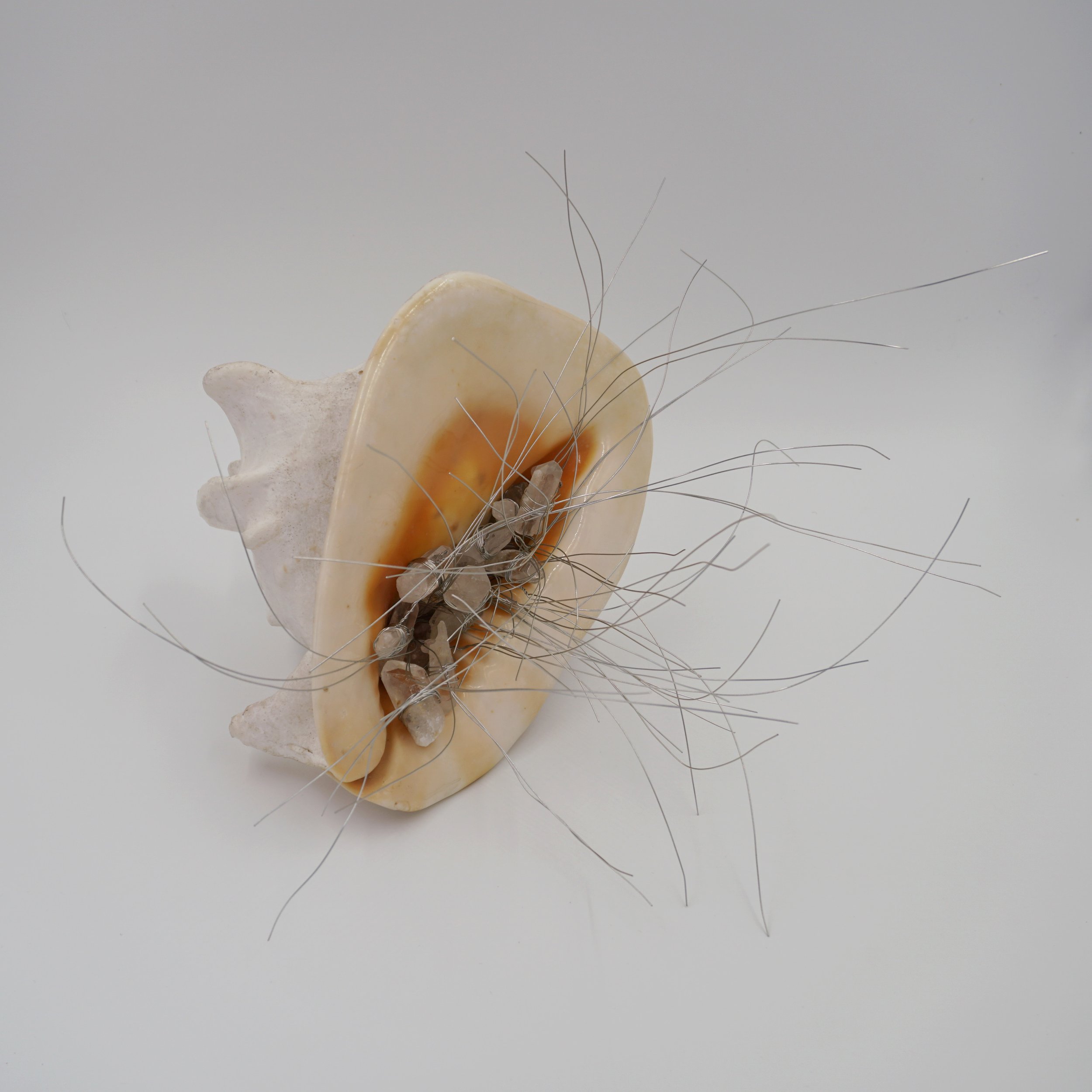  Eigenfrequency, 2024  Seashells, quartz, wire  Sculpture   14.5” x 16.5” x 8”  