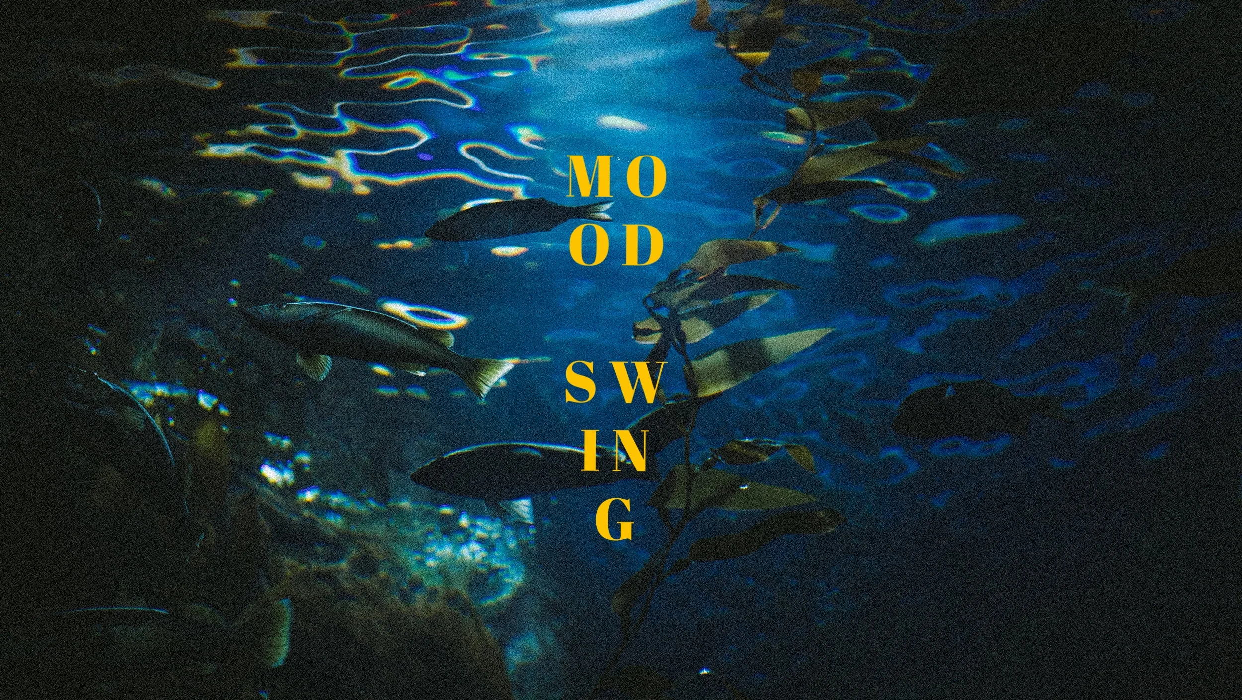 "Mood Swings" Presets