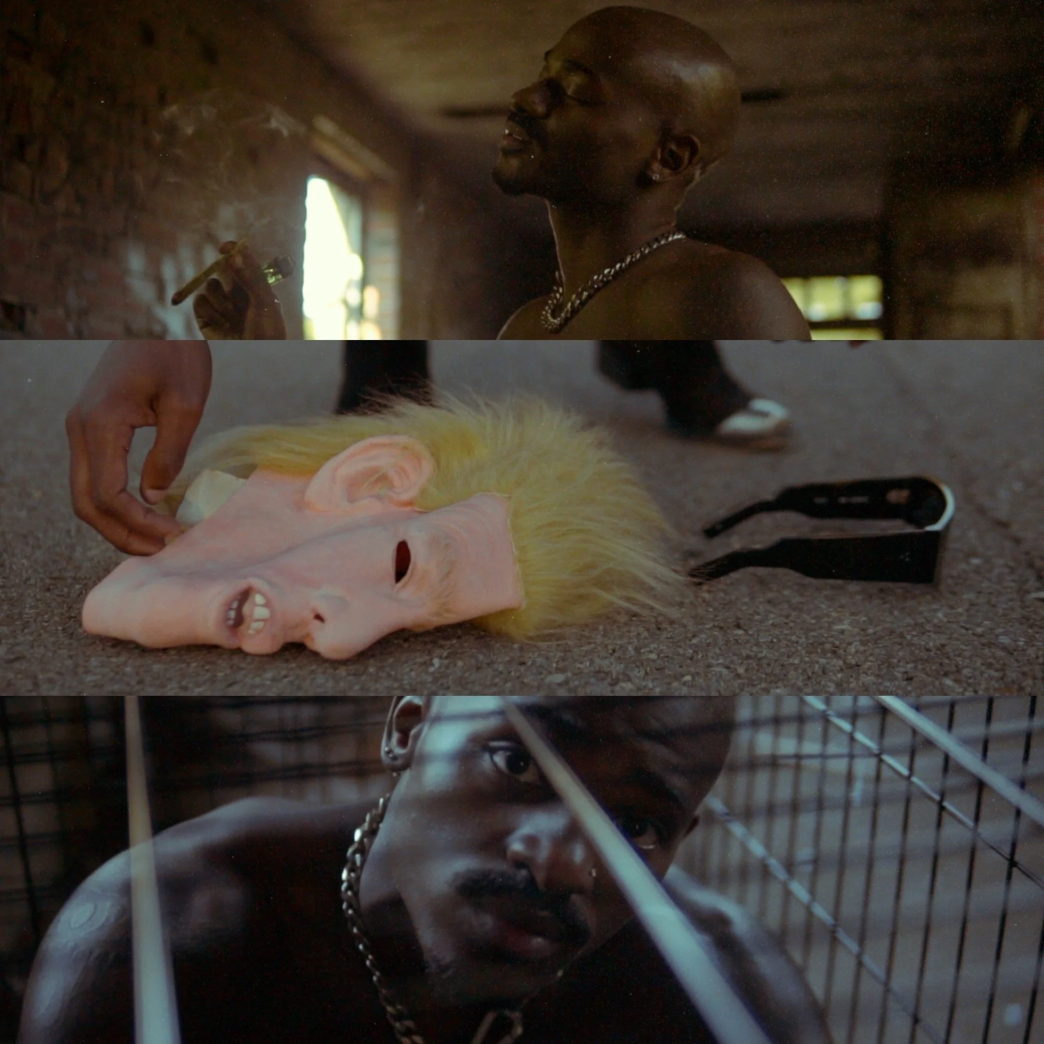 where are the black panthers ?