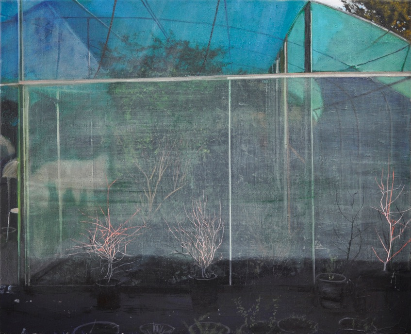 shrub, 2017