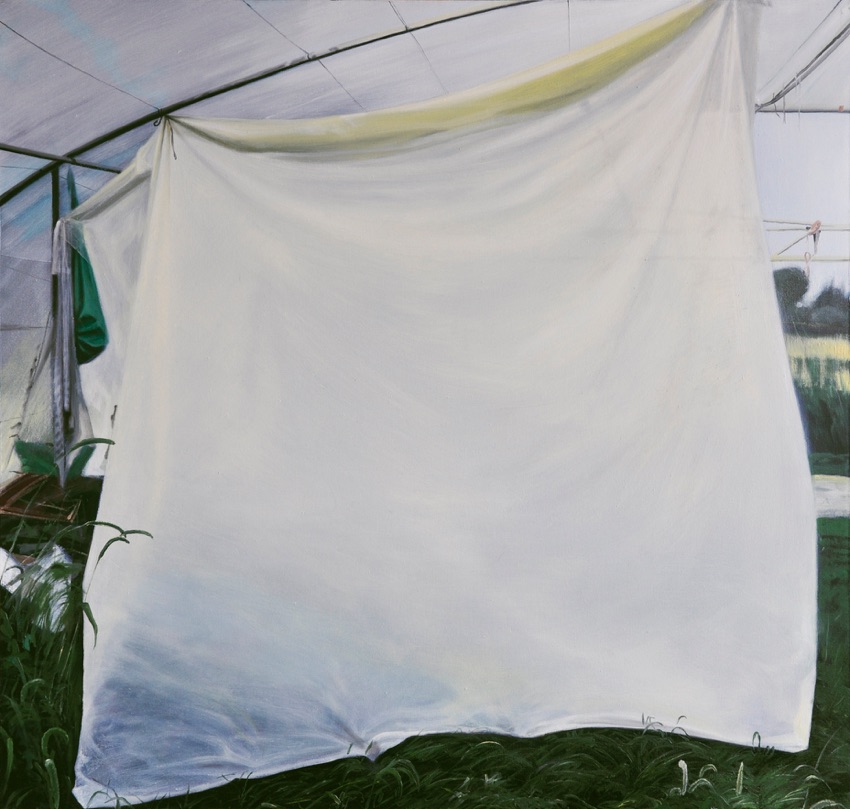 shroud, 2013
