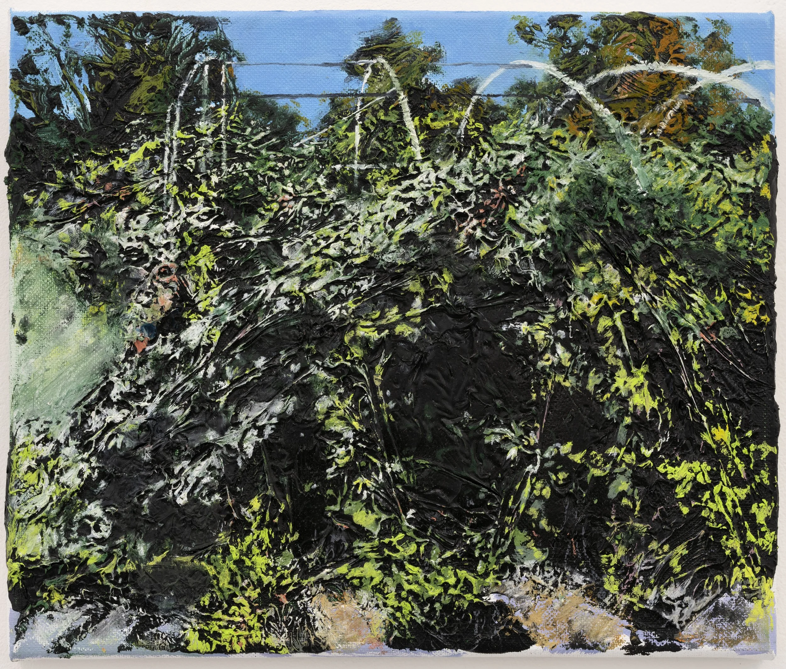 ZAD (XVII), 2024